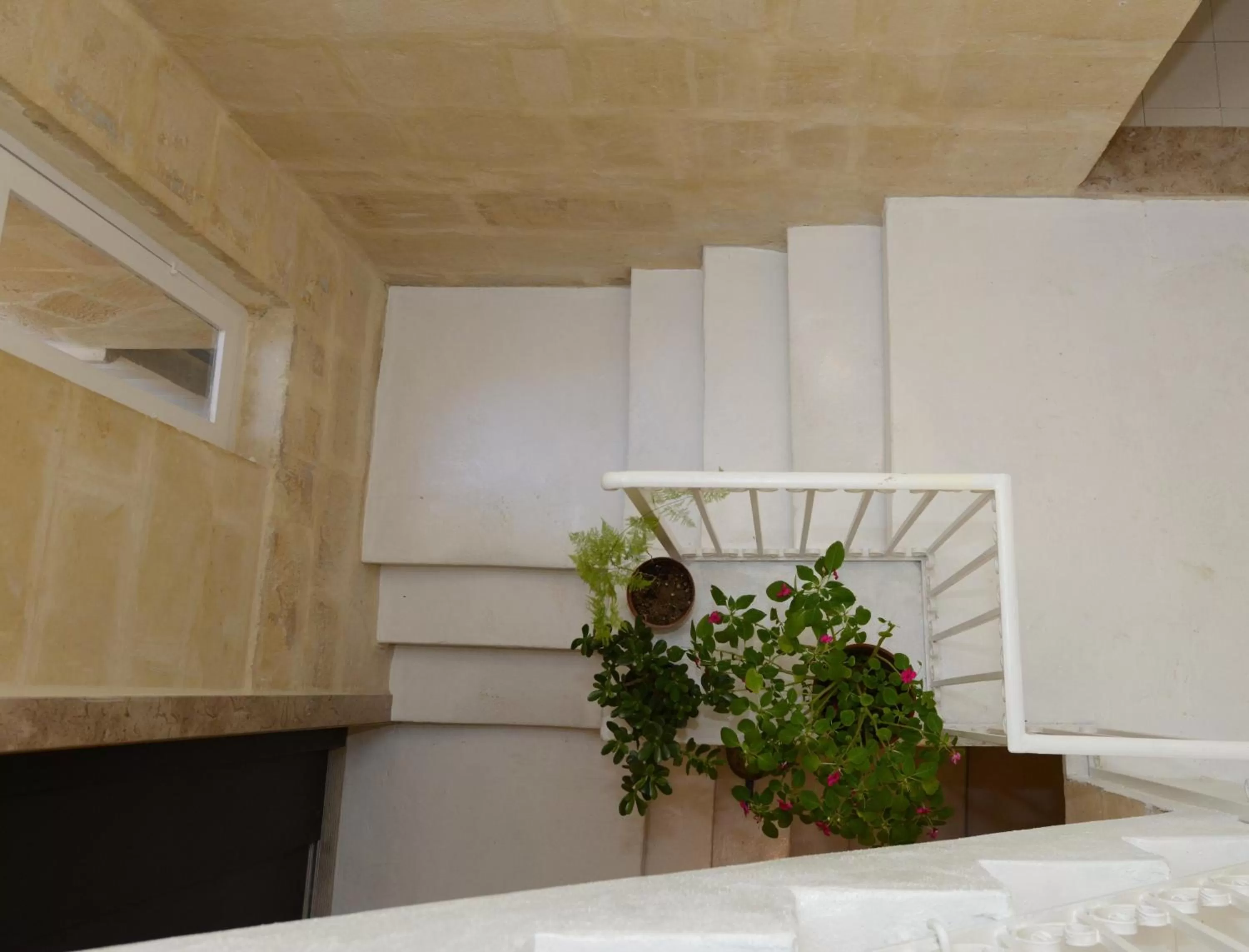 Floor plan in Paulos Valletta