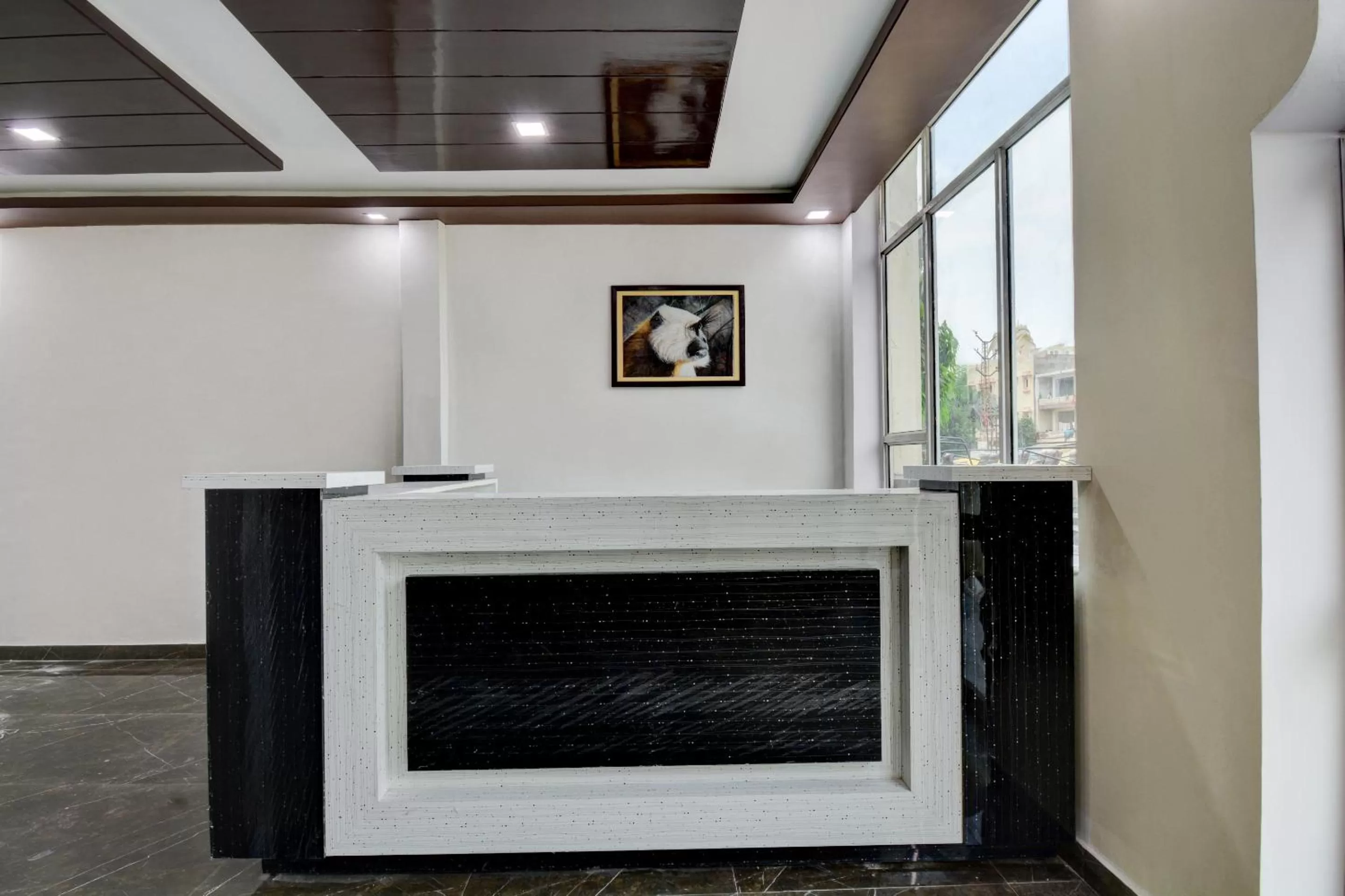 Lobby or reception, Lobby/Reception in Hotel Saif Ranthambhore