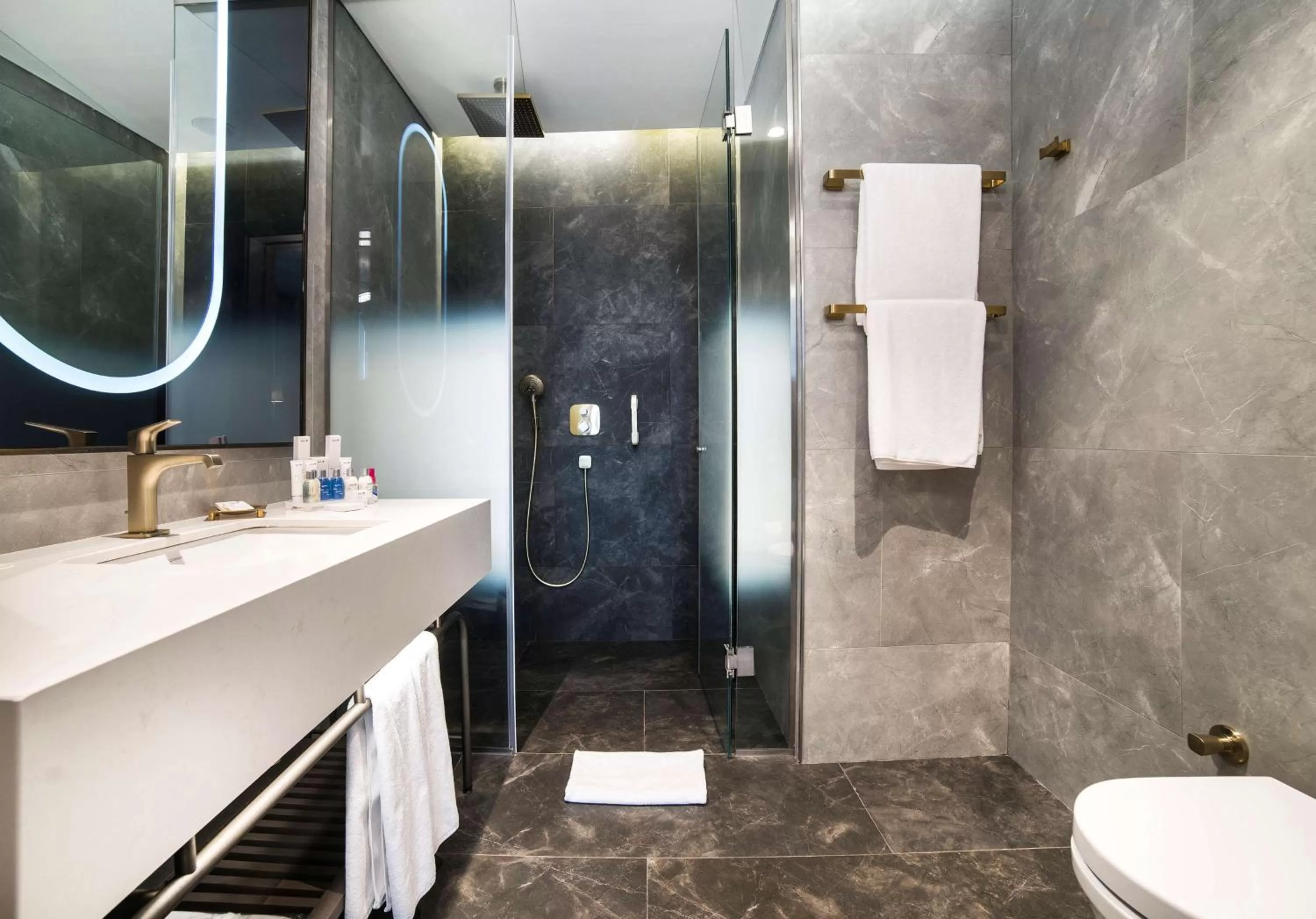 Toilet in Radisson Collection Hotel, Vadistanbul