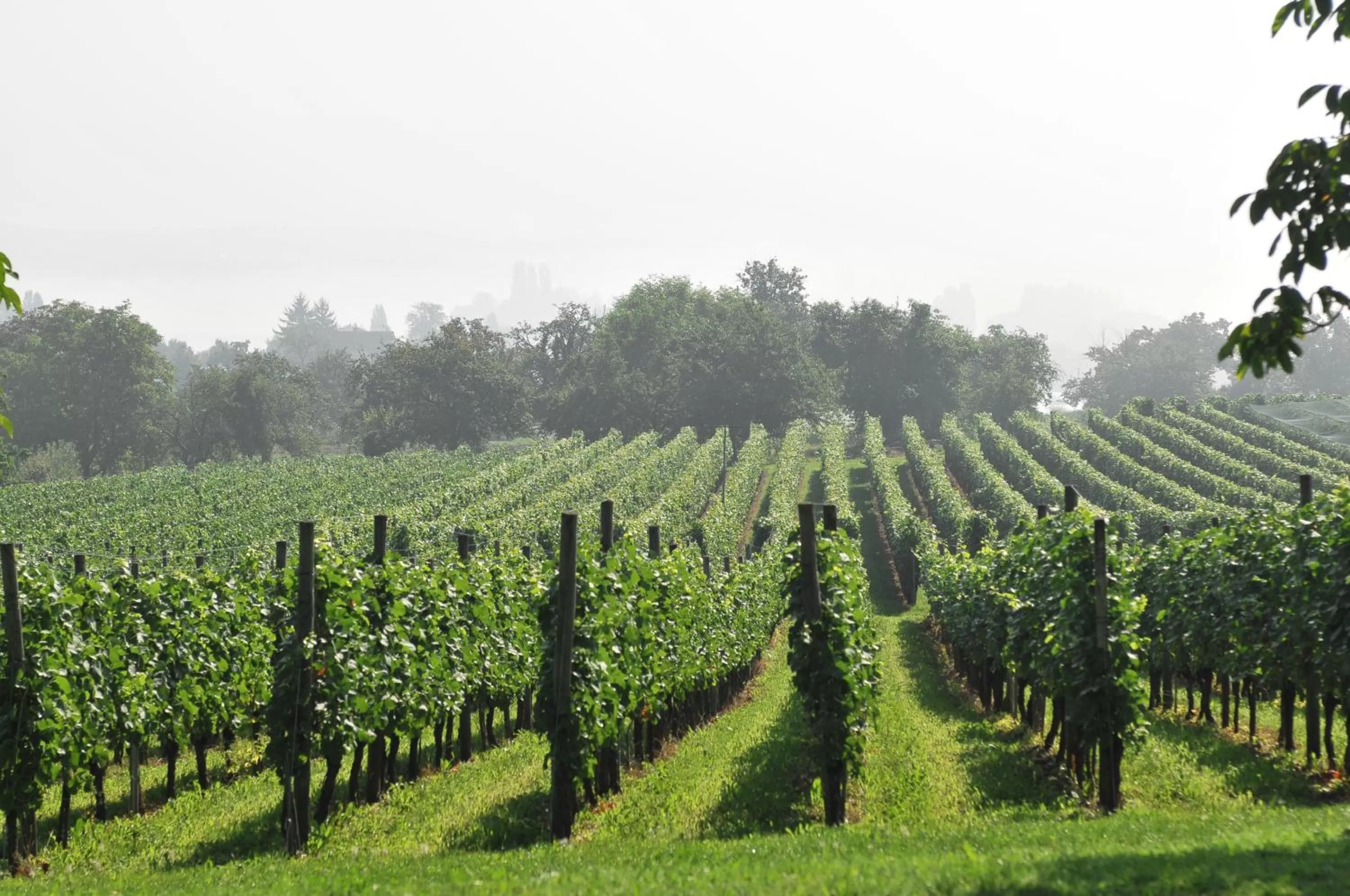 Natural landscape in Hotel mein inselglück