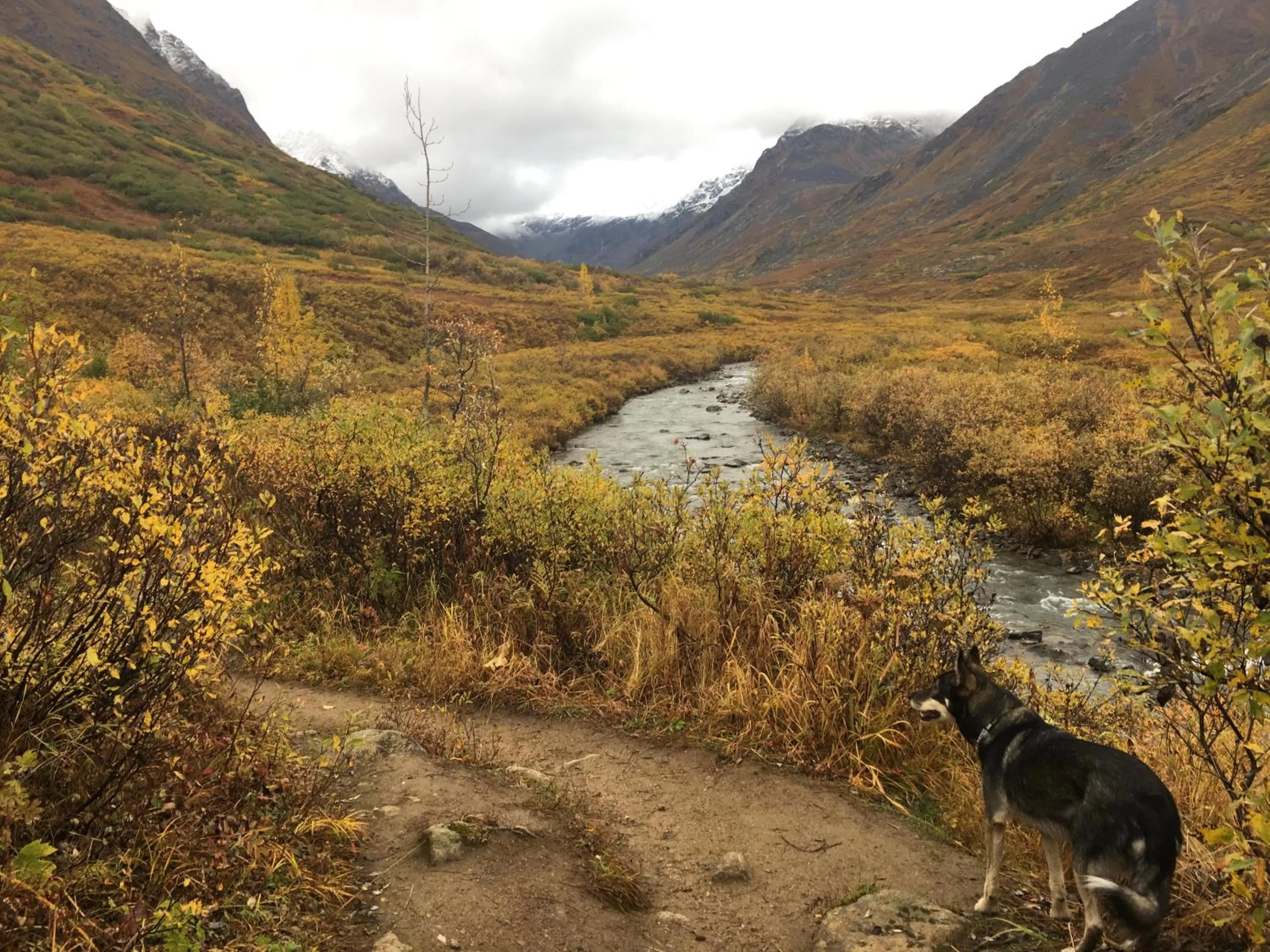 Hatcher Pass Cabins
