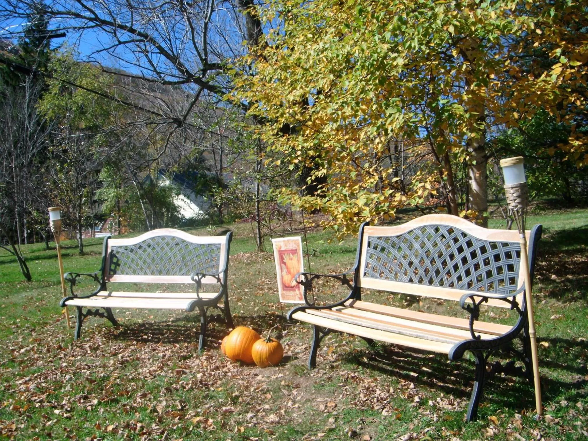 Garden view in Starlite Motel & Suites