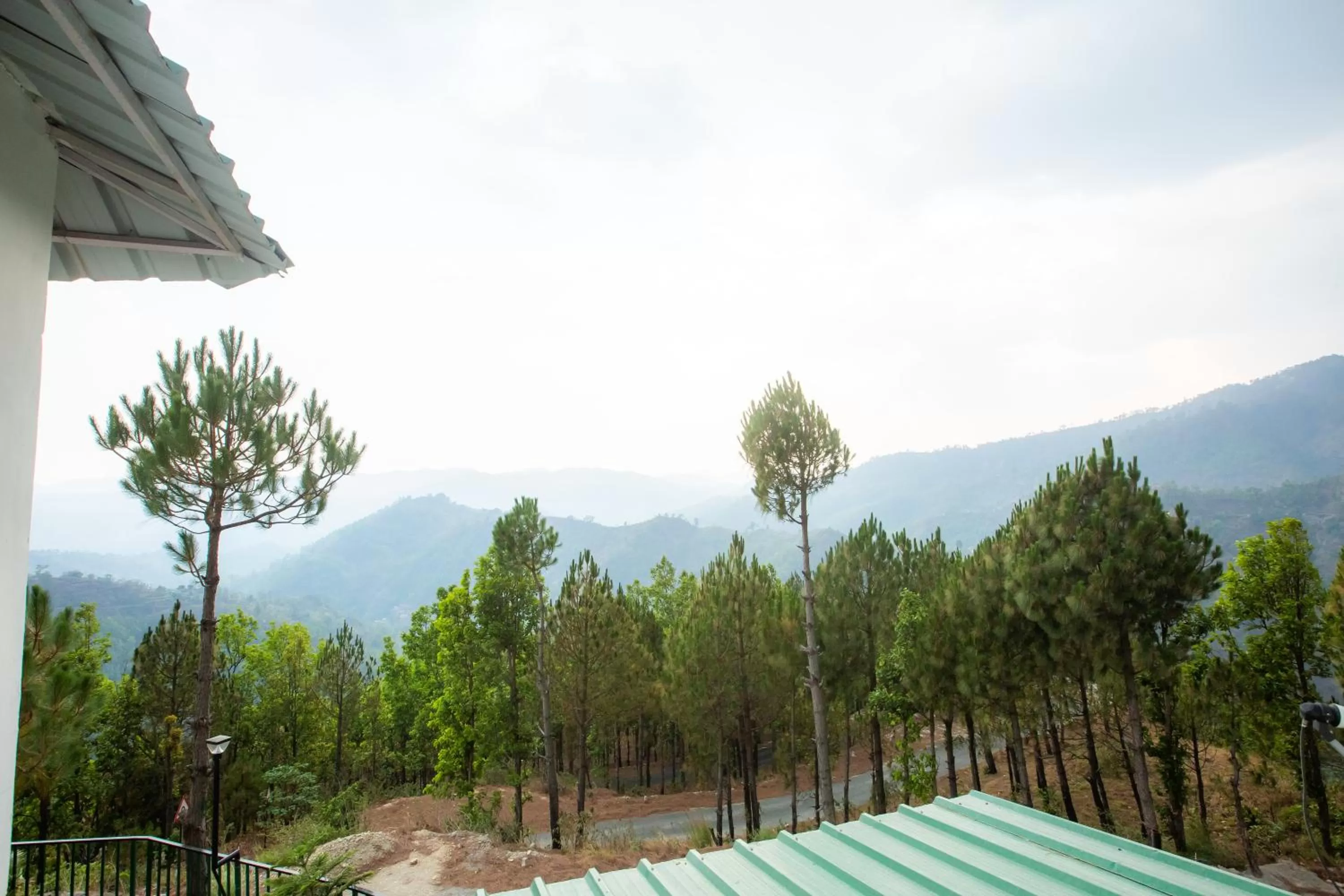 Mountain view in Blue Pine Orchards