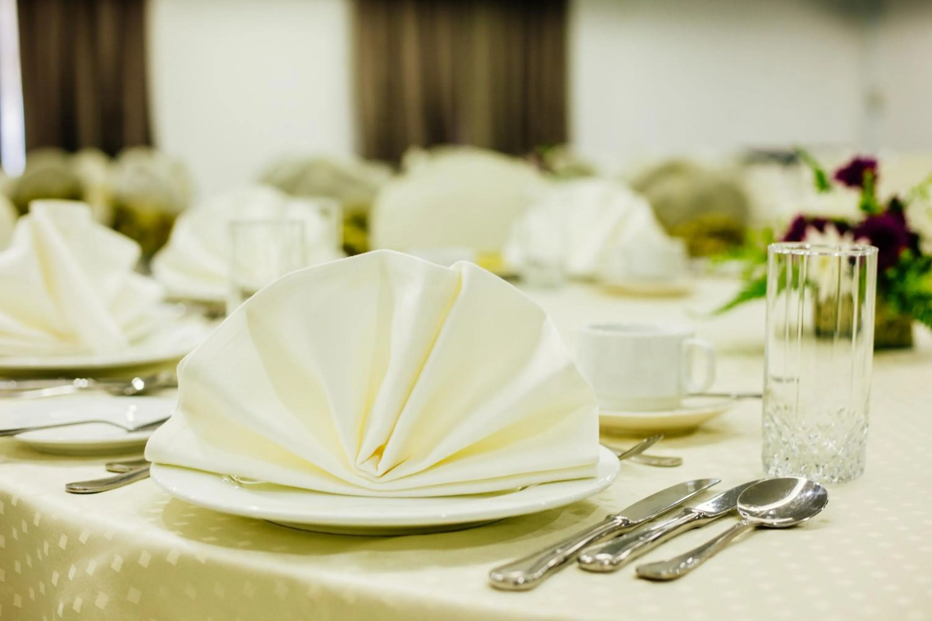 Banquet/Function facilities in Verdant Hill Hotel Kuala Lumpur