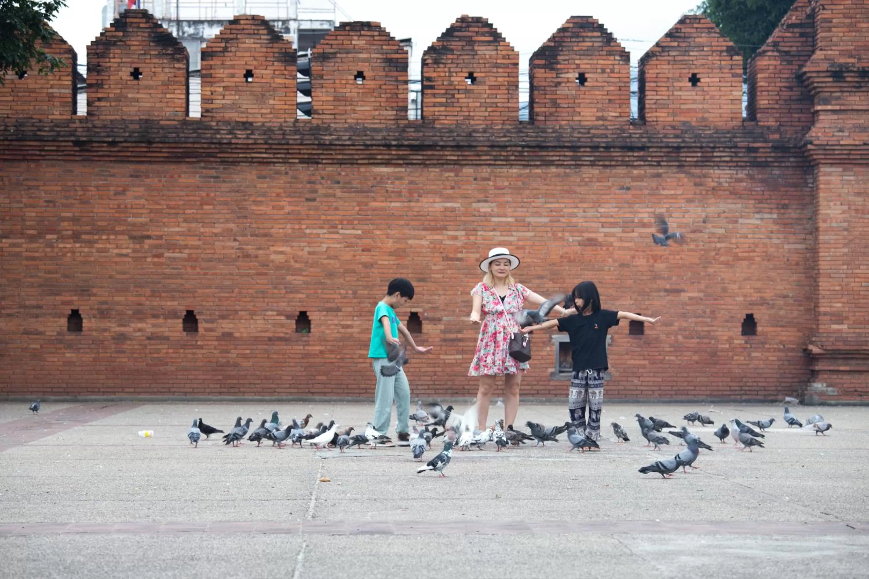 Natural landscape in Imm Hotel Thaphae Chiang Mai