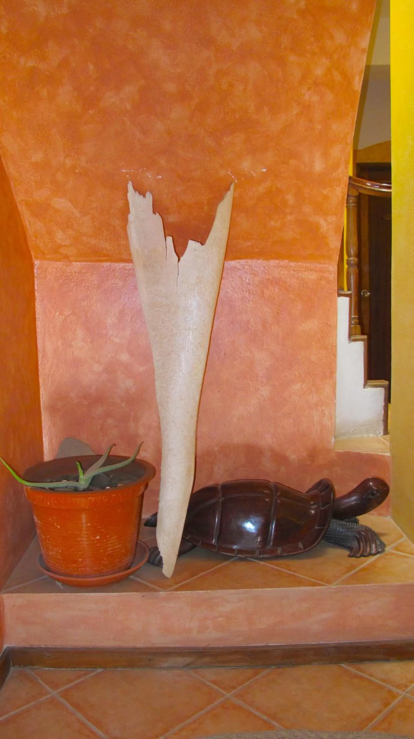 Staff in Hotel MiraBela