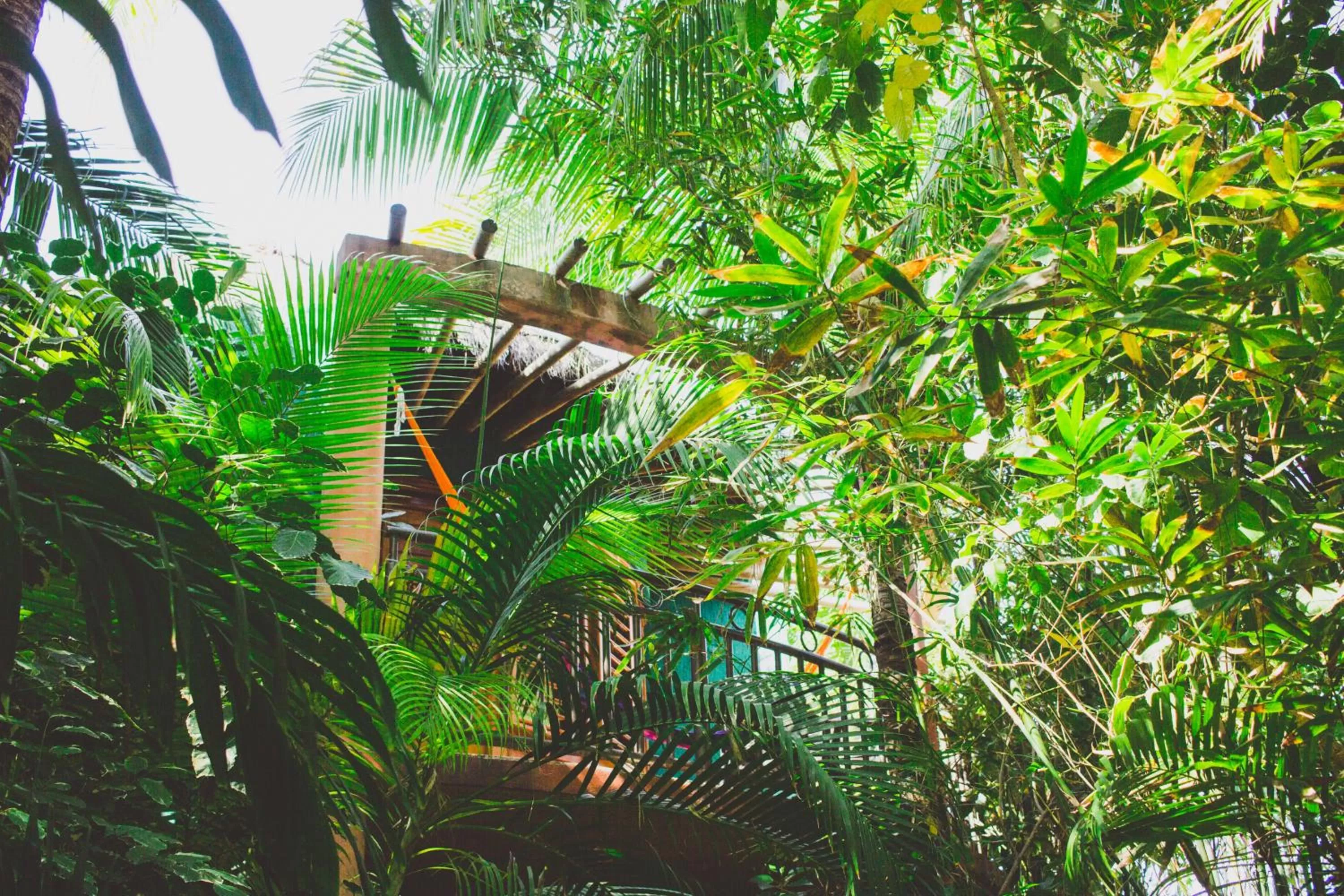 Garden in Cocos Cabañas Playa del Carmen Adults Only