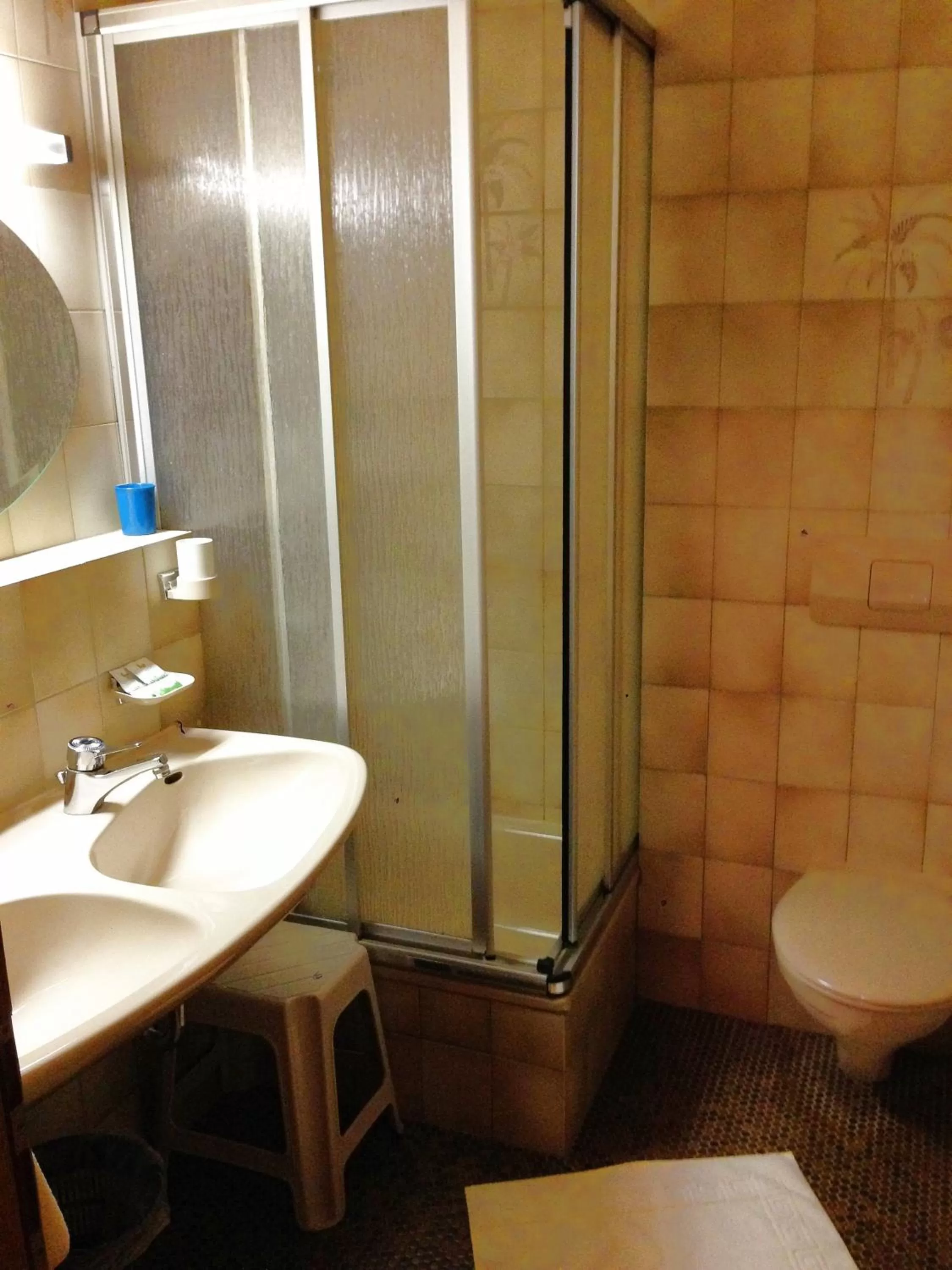 Shower in Beim Haxenwirt