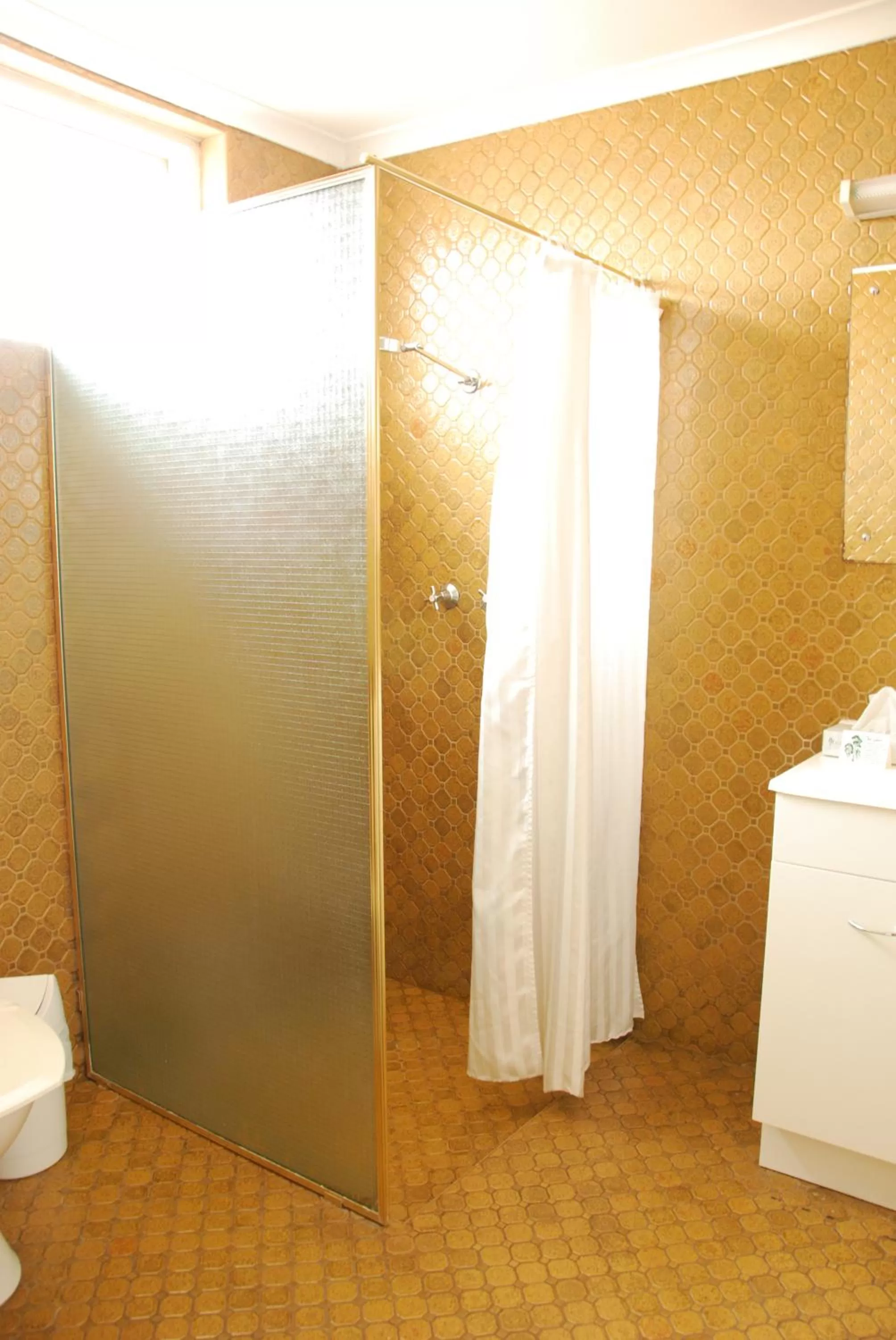 Bathroom in Adelaide Road Motor Lodge