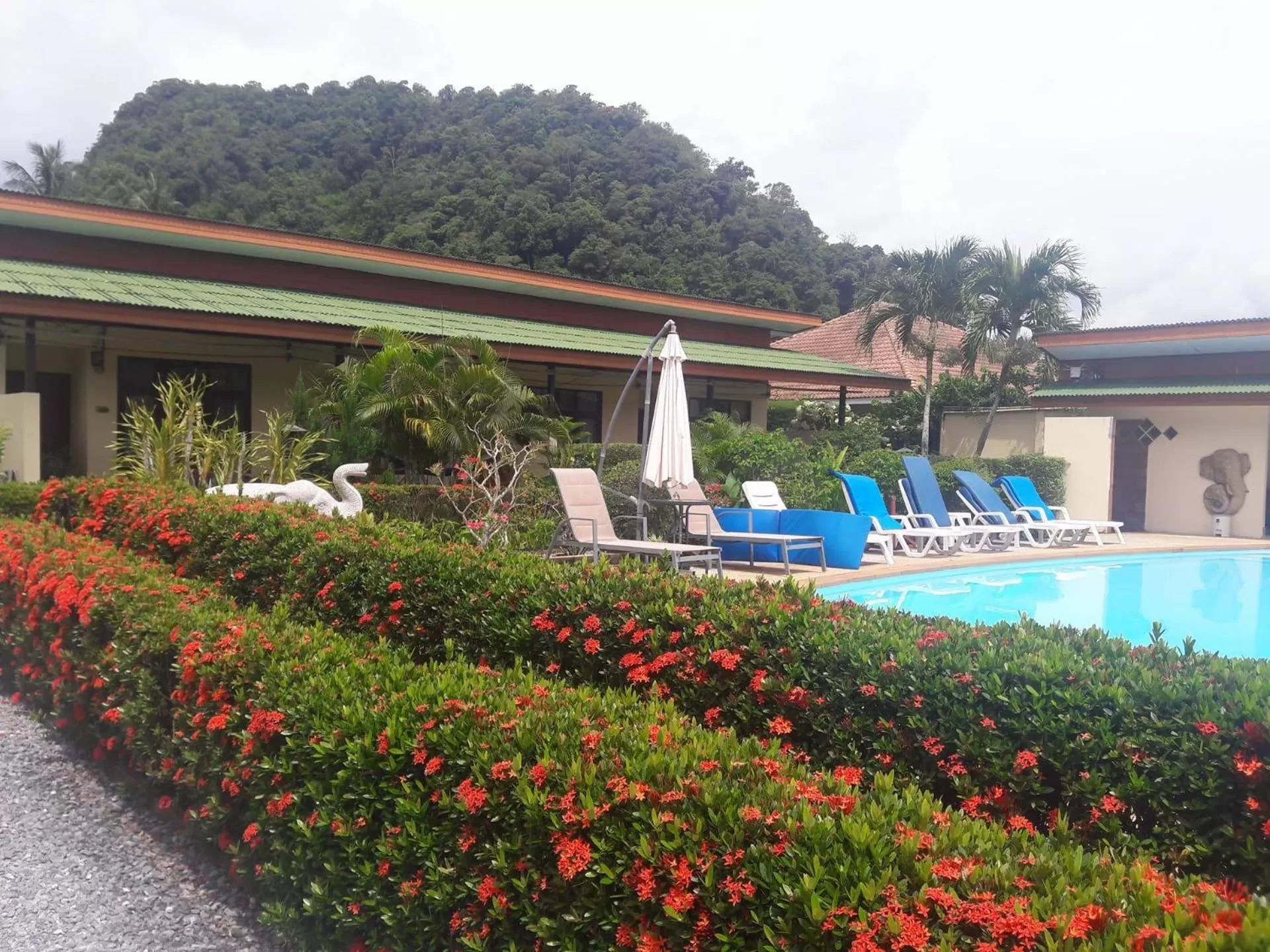 Jungle Village Bungalow