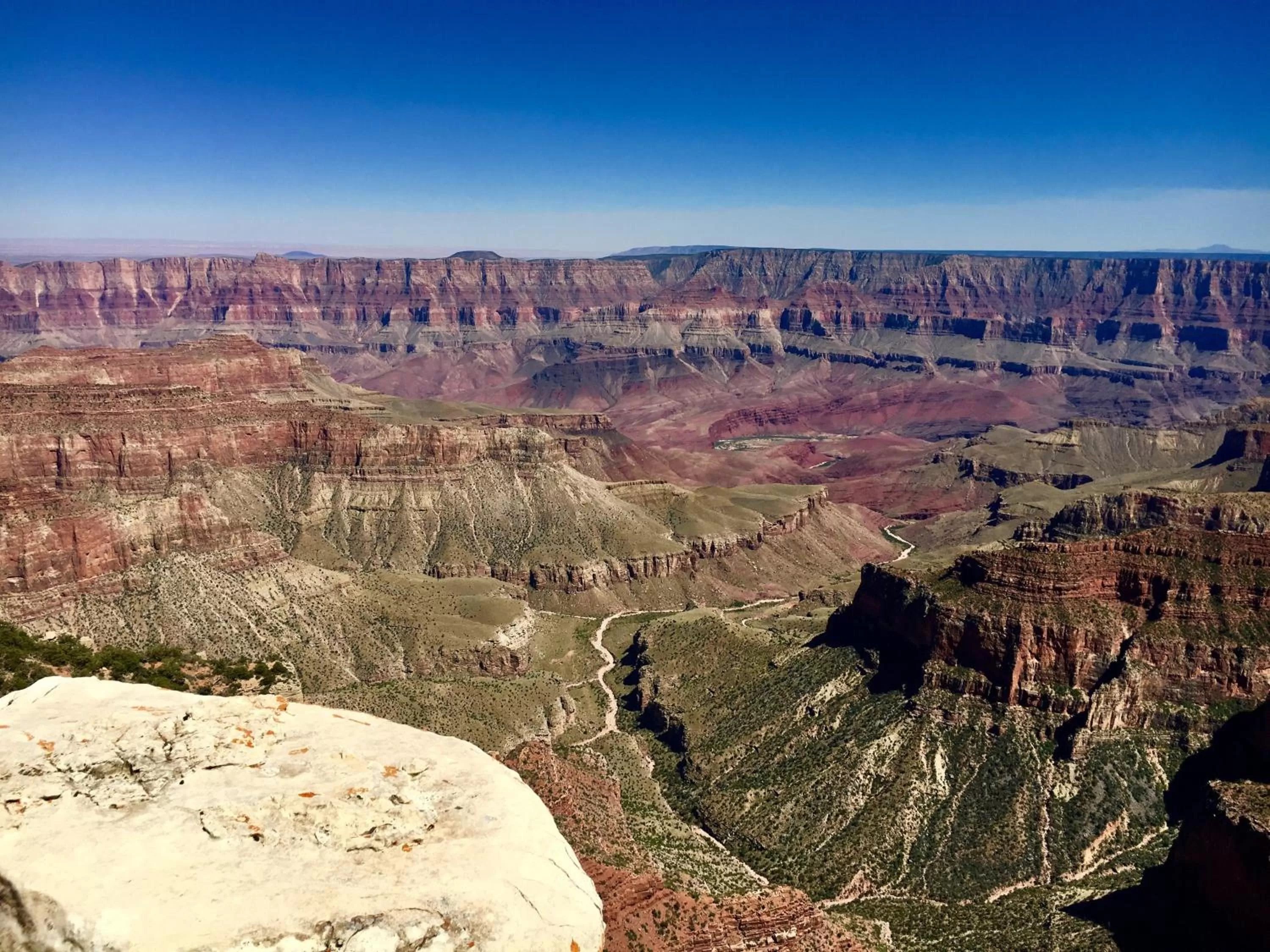 Area and facilities in Staybridge Suites - St George by IHG