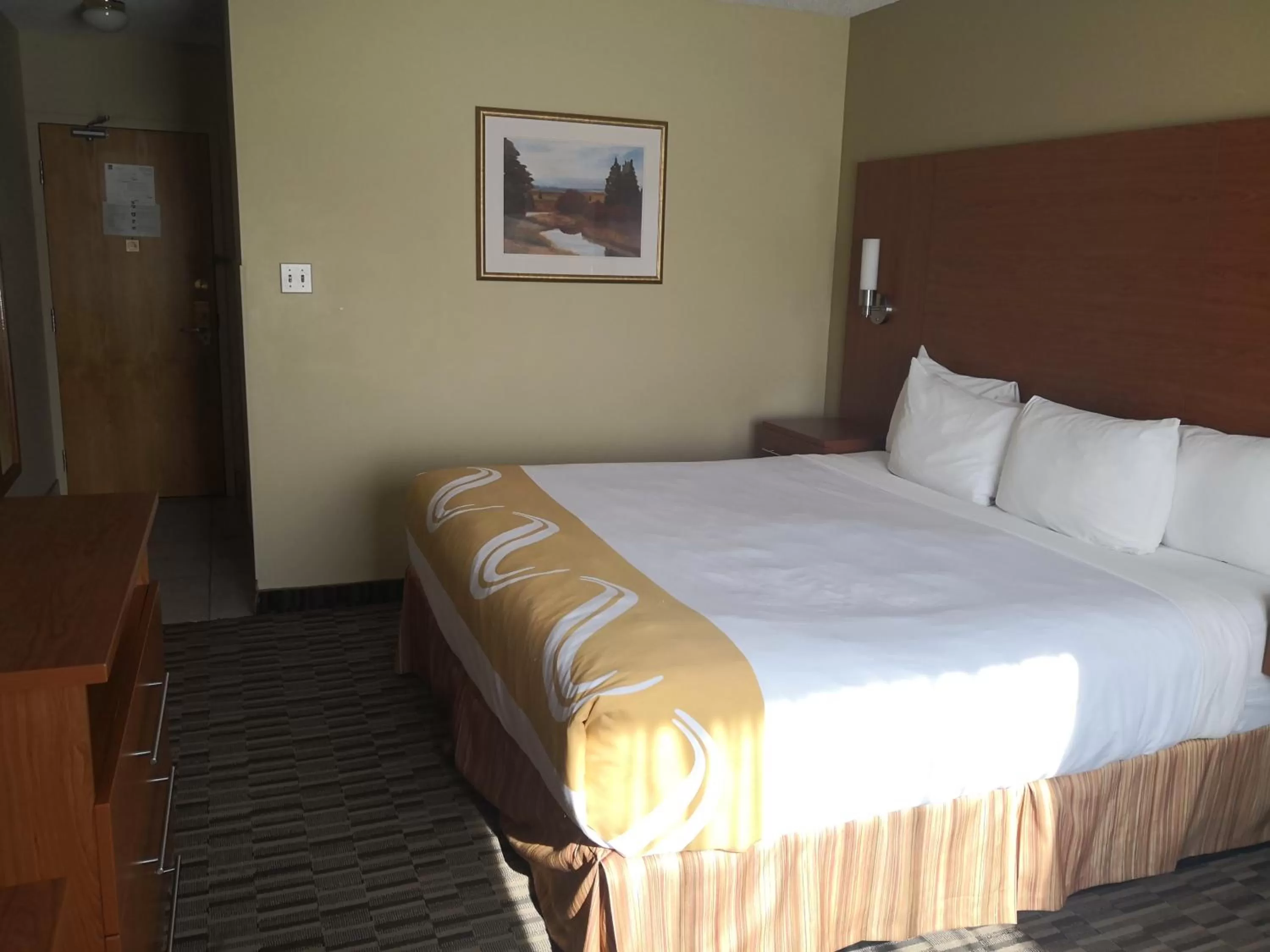 Bed in Quality Inn & Suites