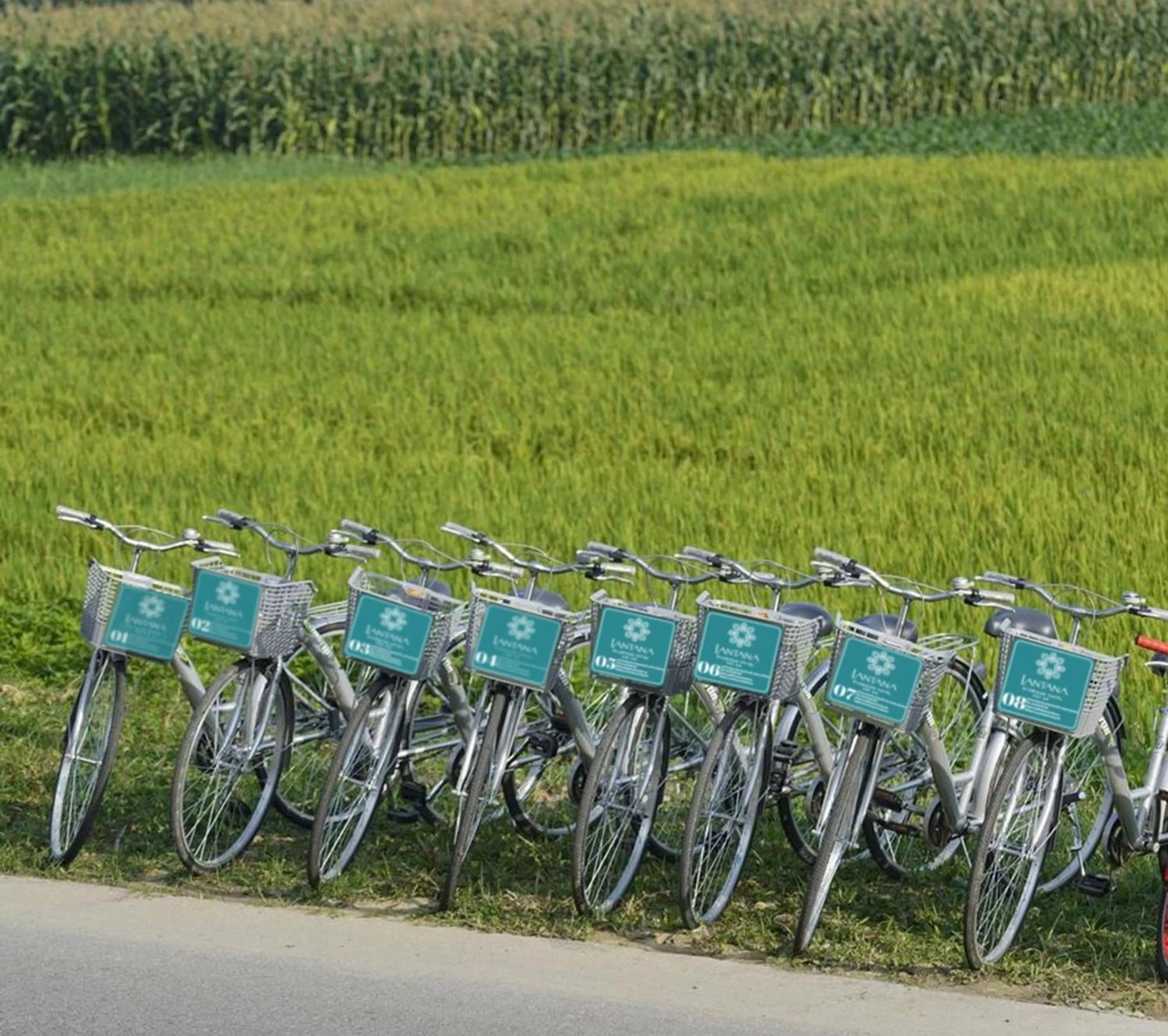 Activities in Lantana Riverside Hoi An Boutique Hotel & Spa