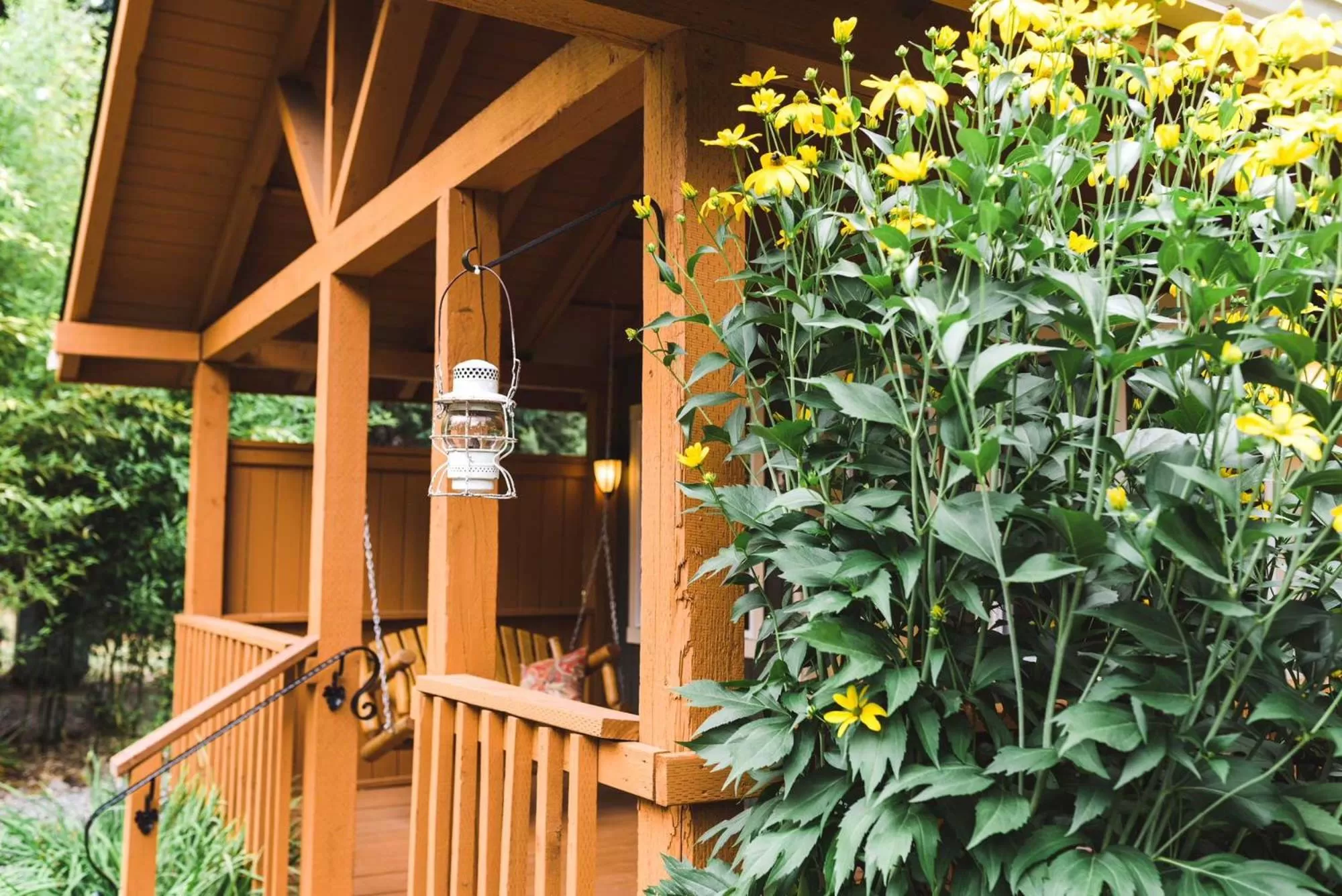 Carson Ridge Luxury Cabins