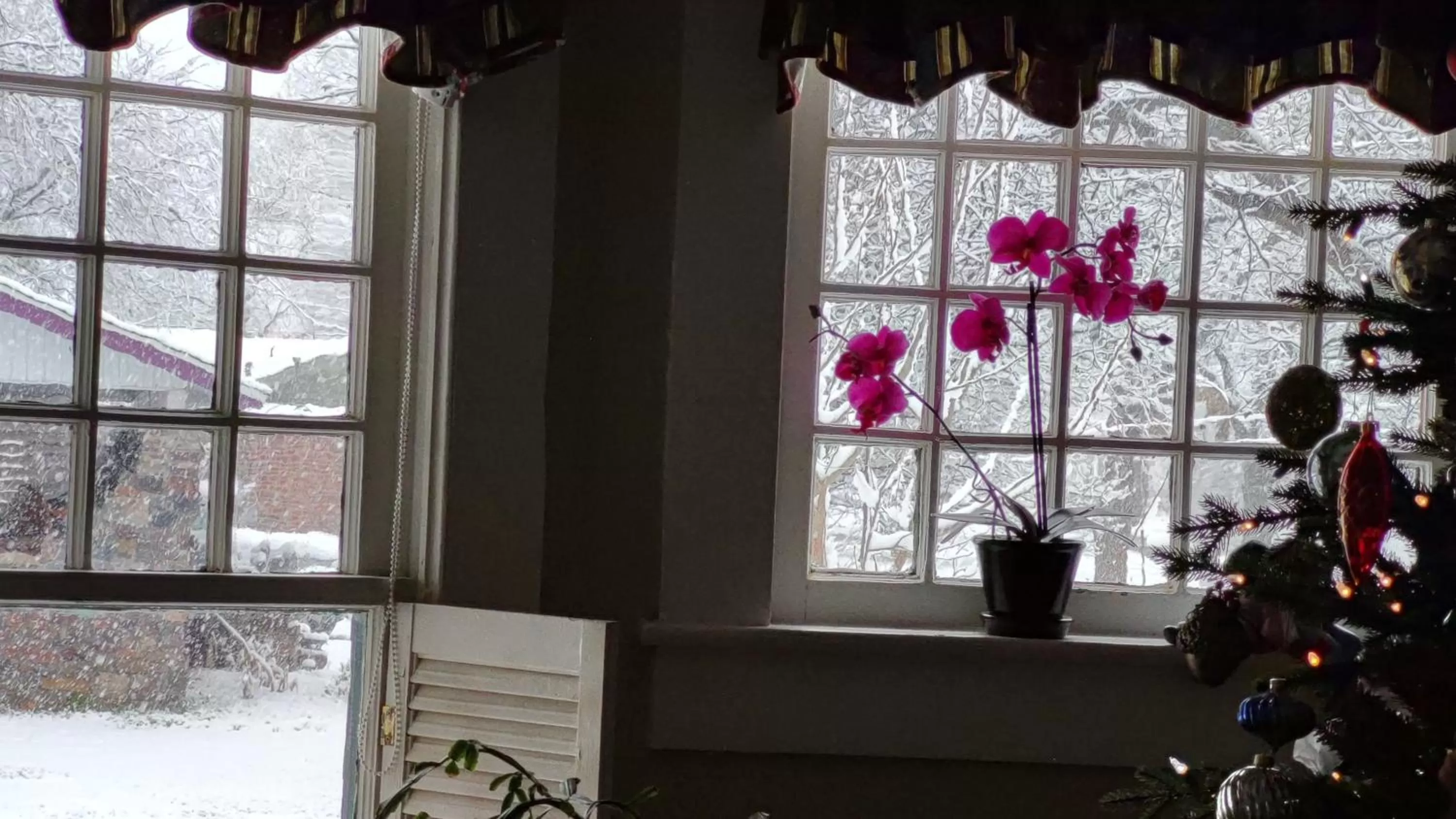 Dining area in Granbury Gardens Bed and Breakfast