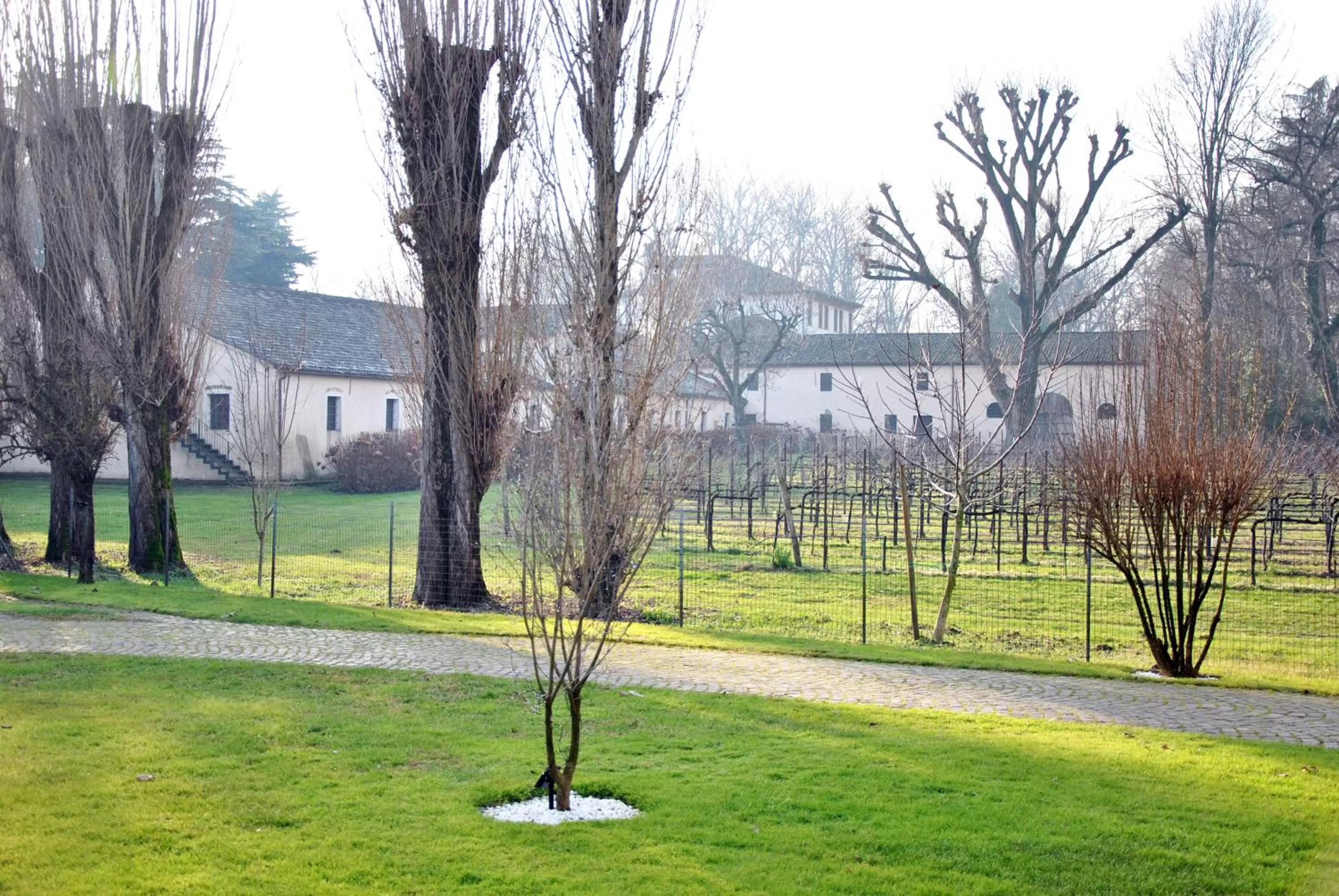 Garden in Villa Stefania