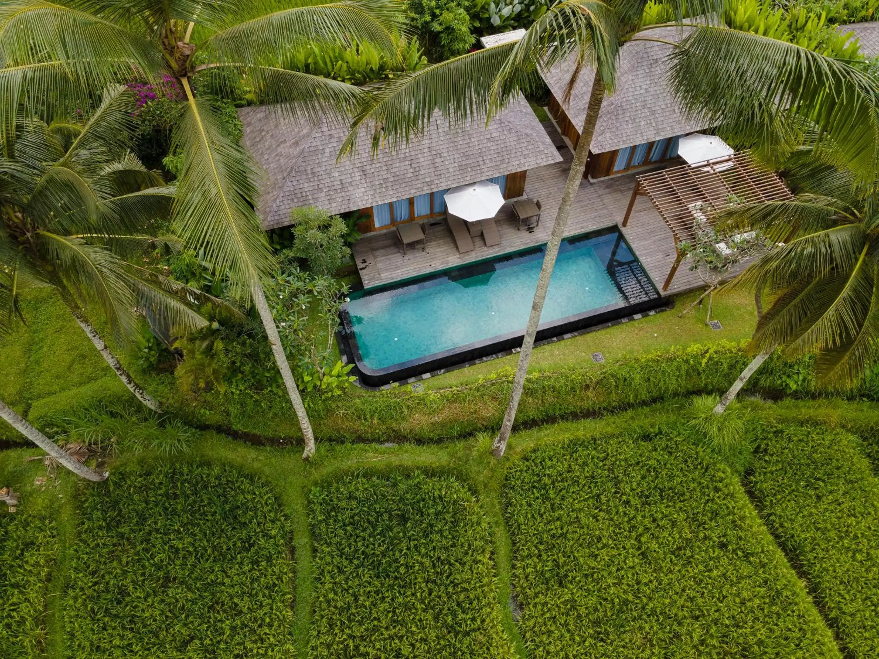 Two-Bedroom Villa with Private Pool and Daily Scheduled Activities in Kappa Senses Ubud Two-Bedroom Villa with Private Pool and Daily Scheduled Activities in Kappa Senses Ubud