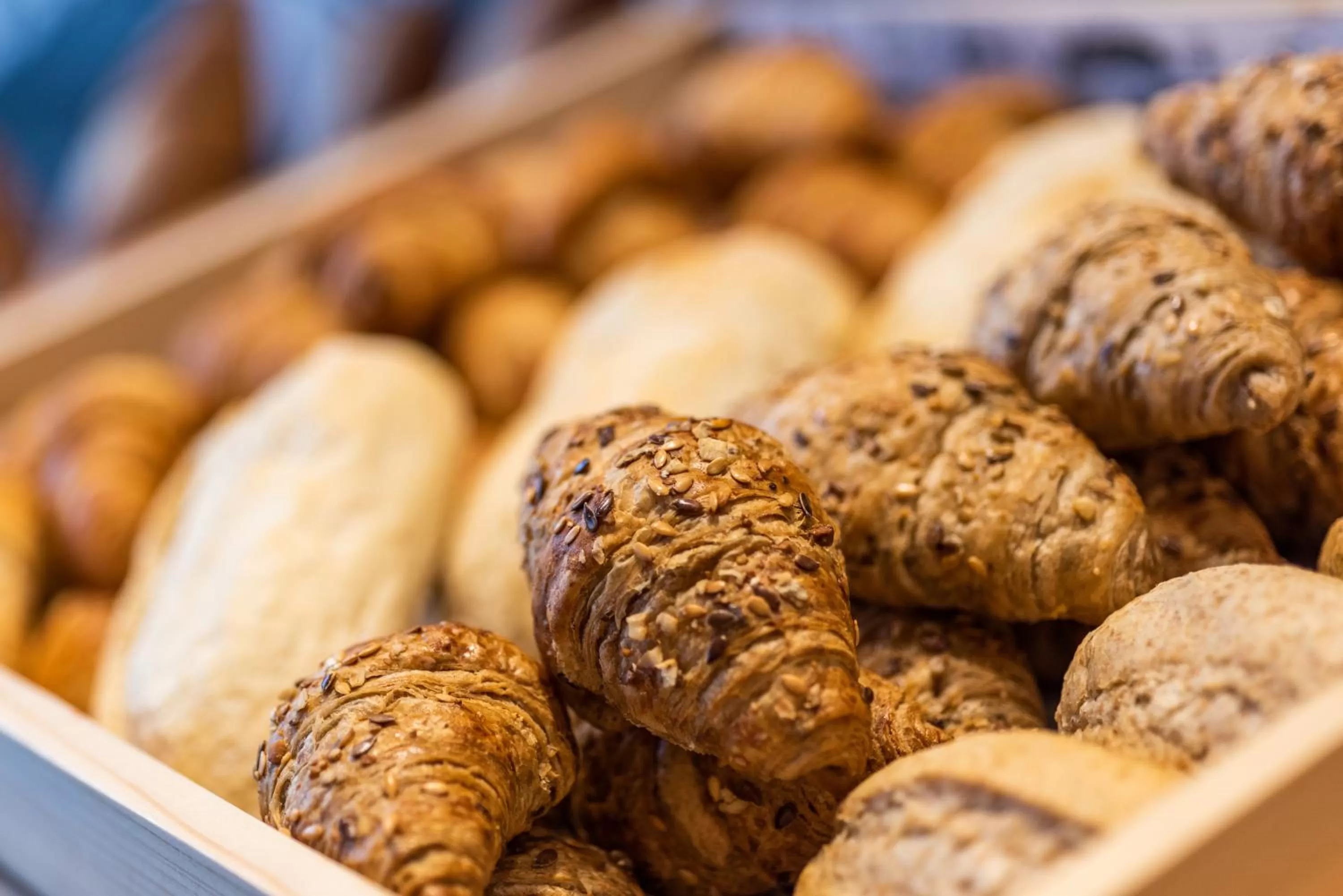 Breakfast in ibis Chia