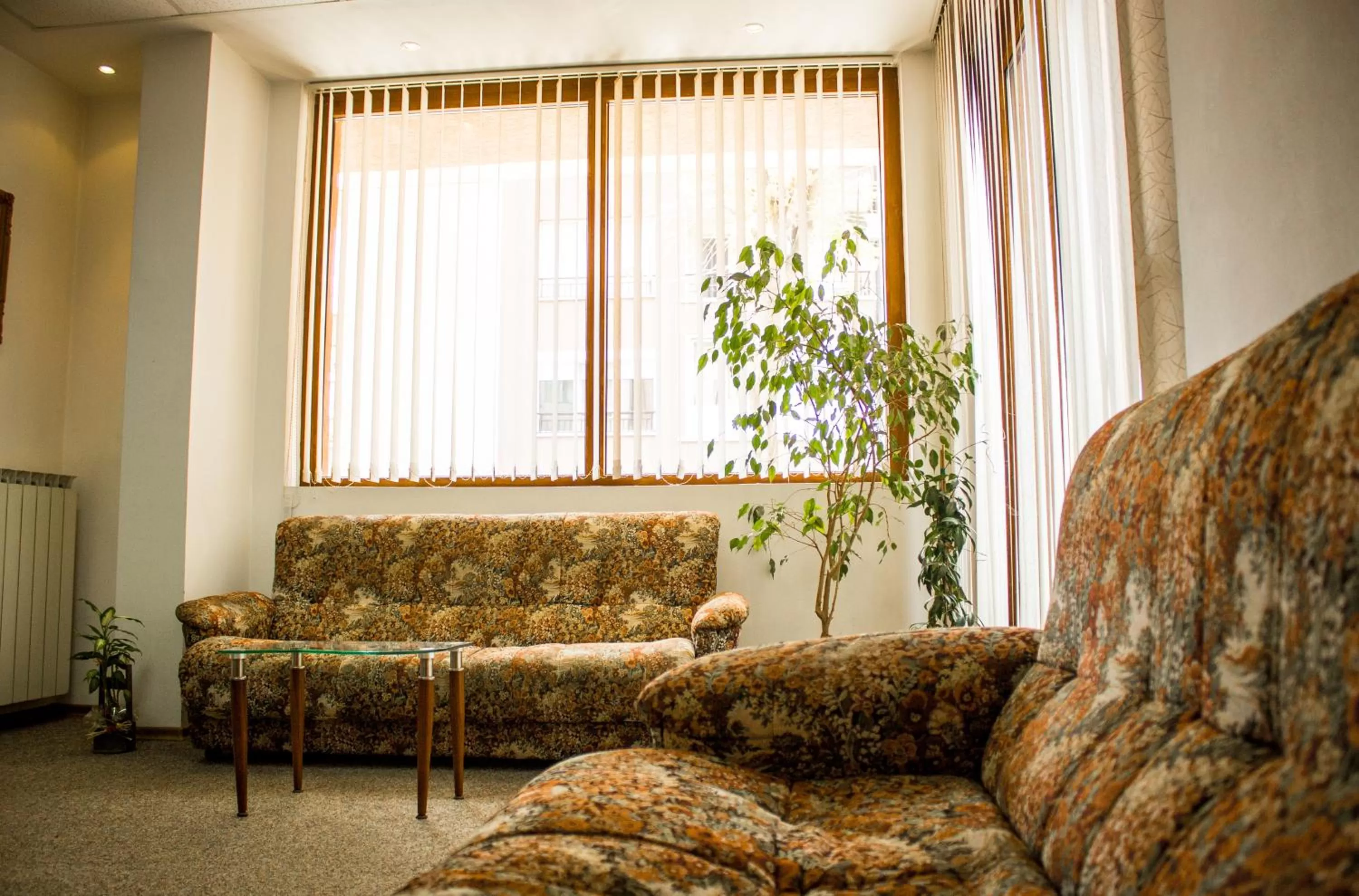 Area and facilities in Family Hotel Saint Iliya