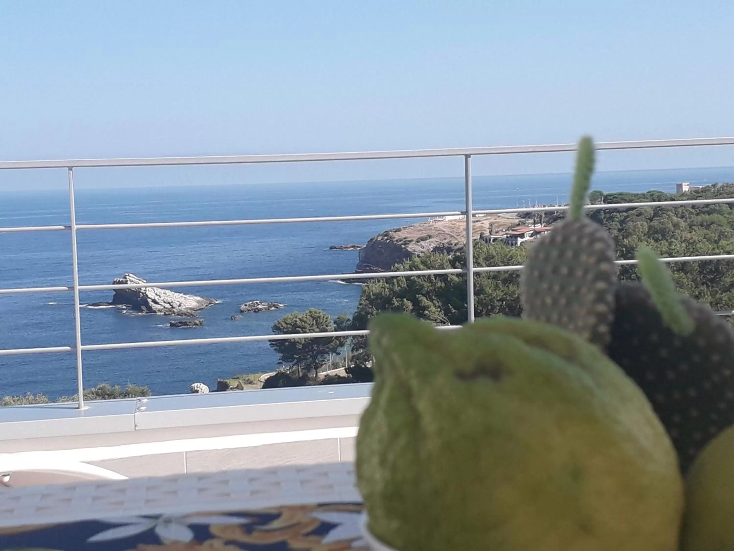 Sea View in Zabbàra B&B