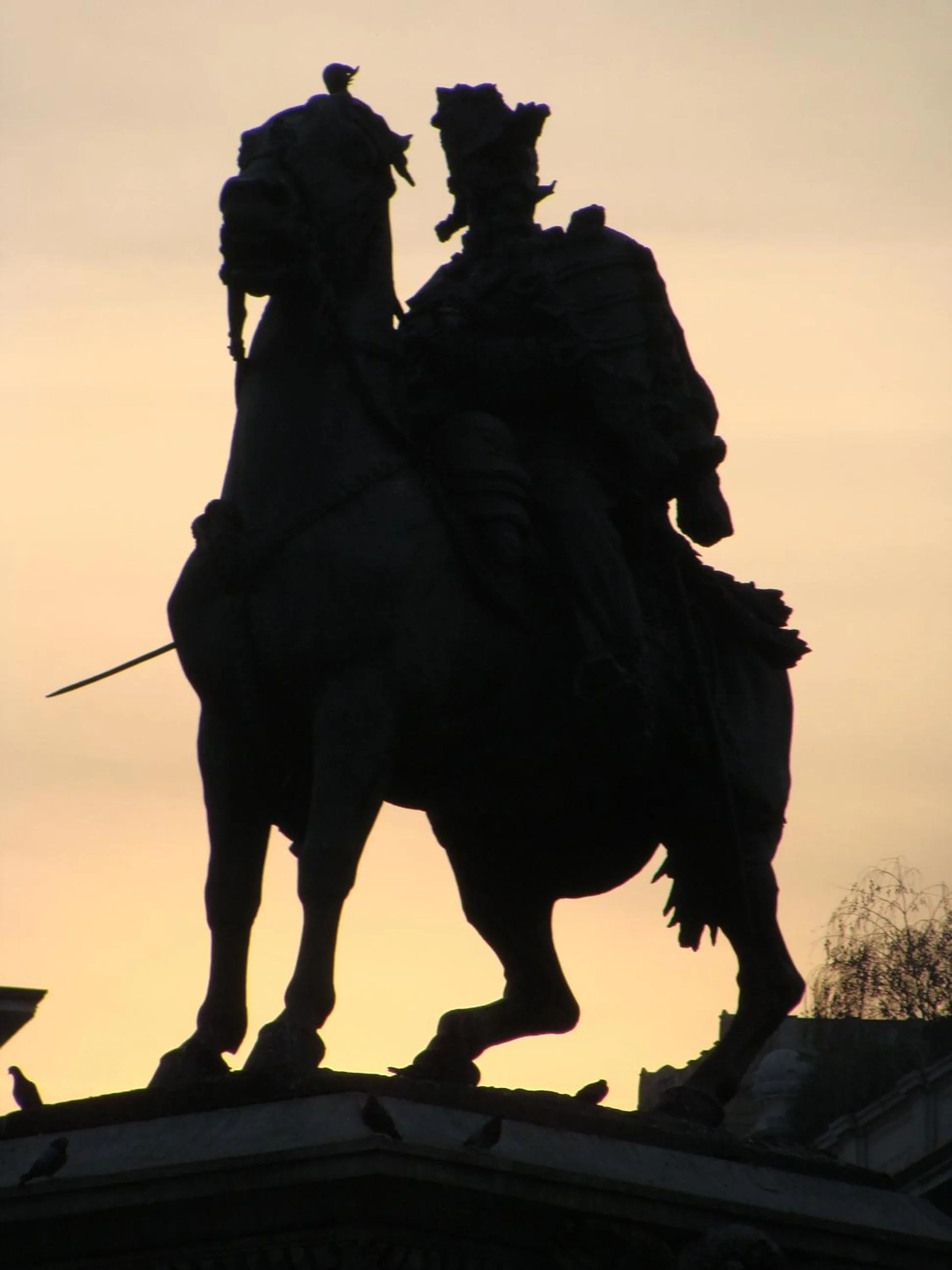 Area and facilities in Hotel Paradiso