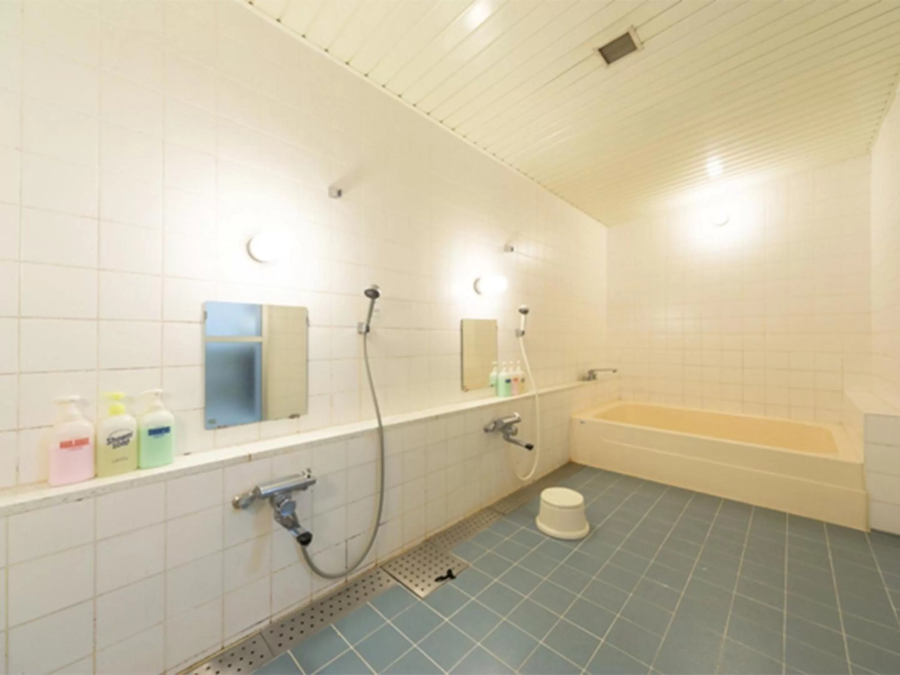 Bathroom in Hiroshima International Youth House JMS Aster Plaza