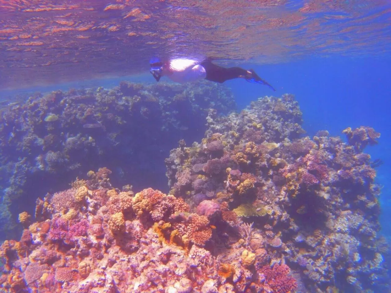 Tawali Leisure & Dive Resort