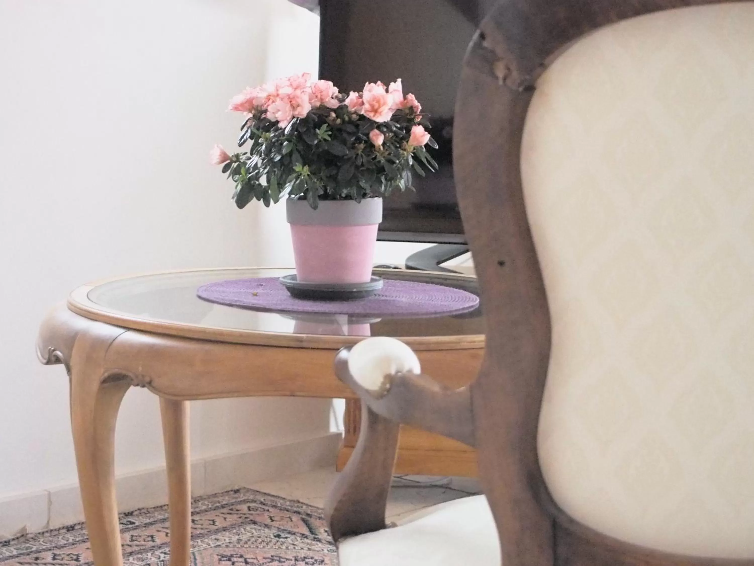 Les Lumières de Genève