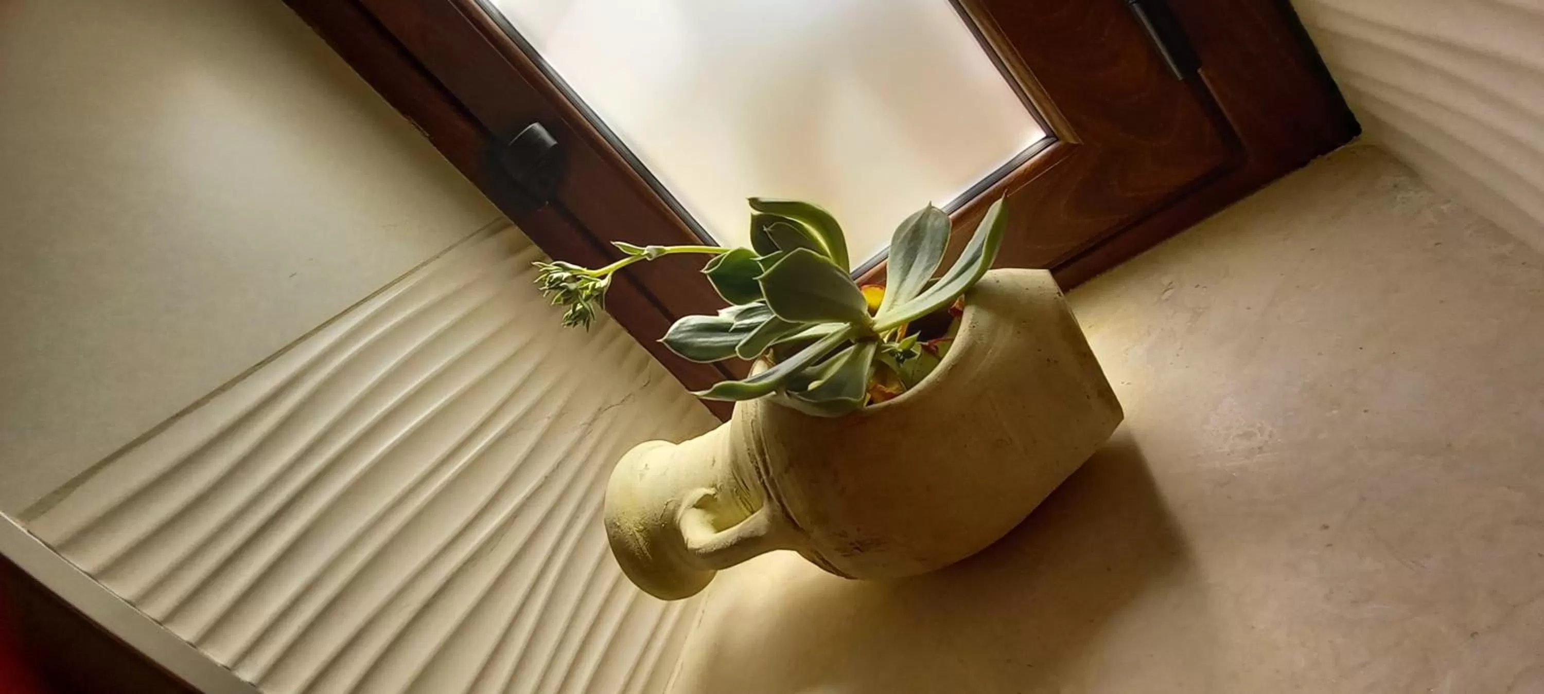 Floor plan, Drinks in Casa del Monte