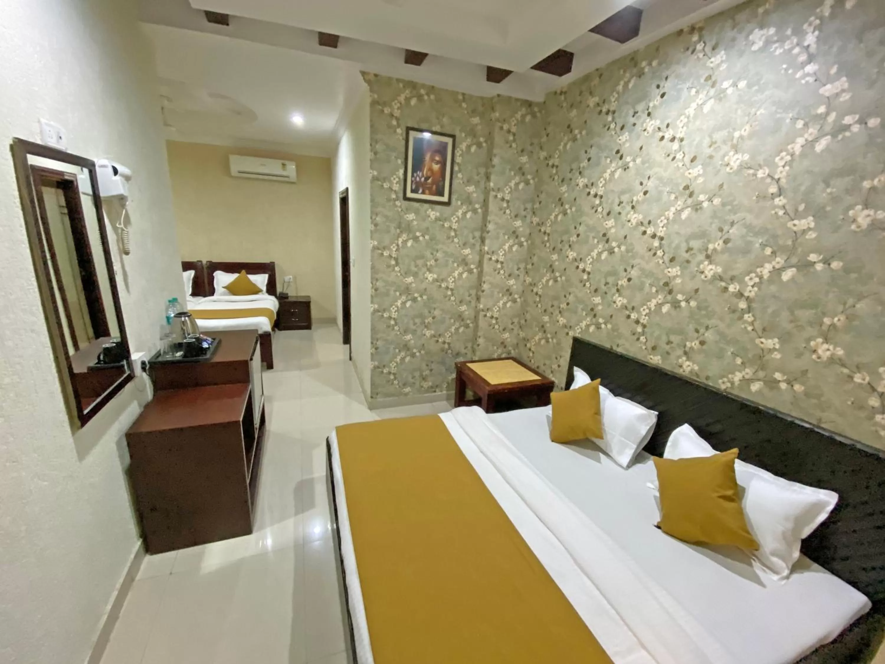 TV and multimedia in Hotel Nirvana Palace Rishikesh