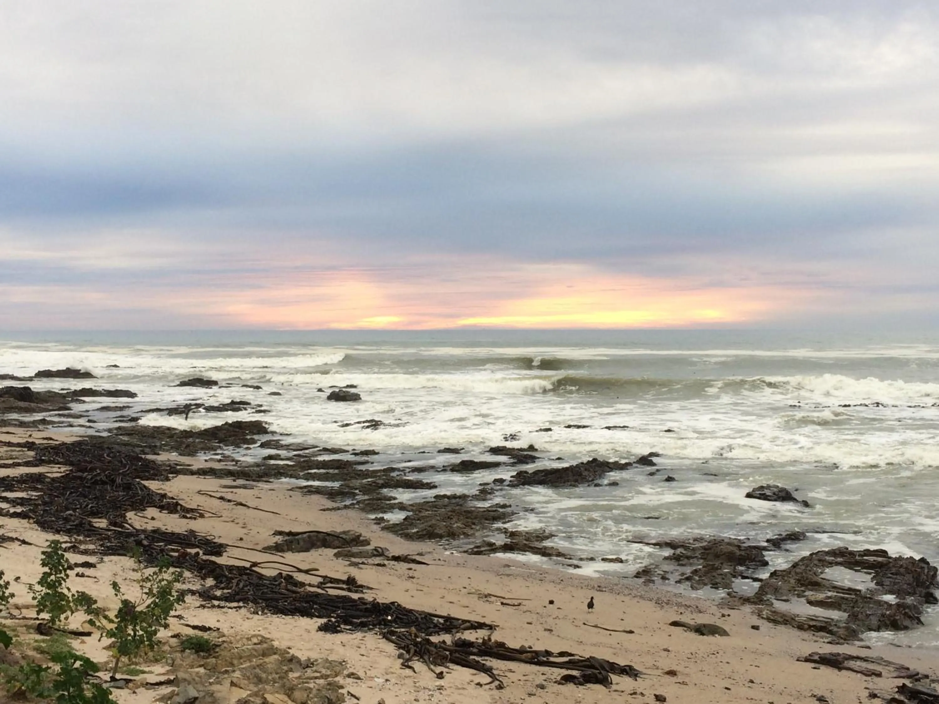 Neighbourhood in Dolphin Inn Guesthouse