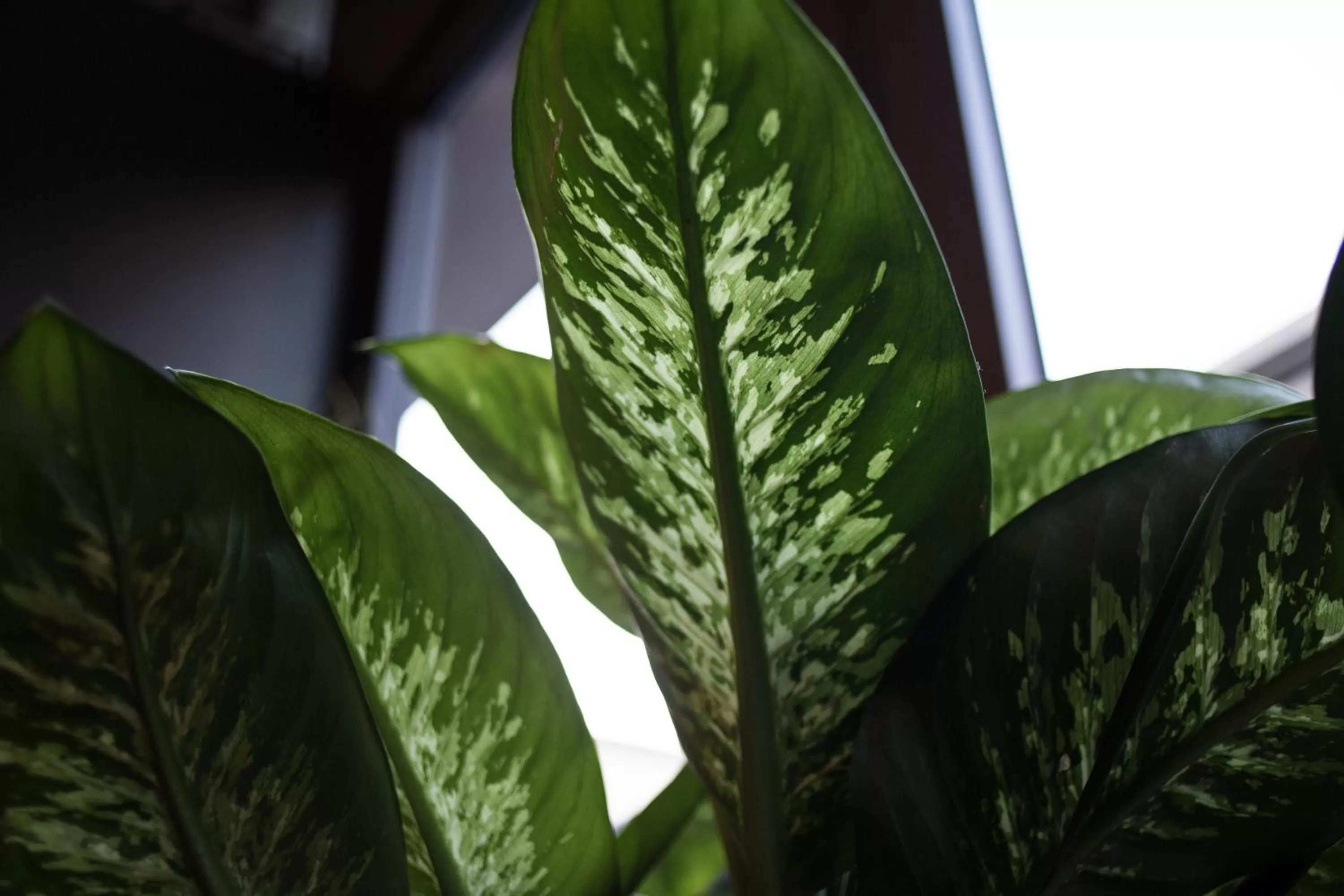 Lounge or bar in c-hotels Joy