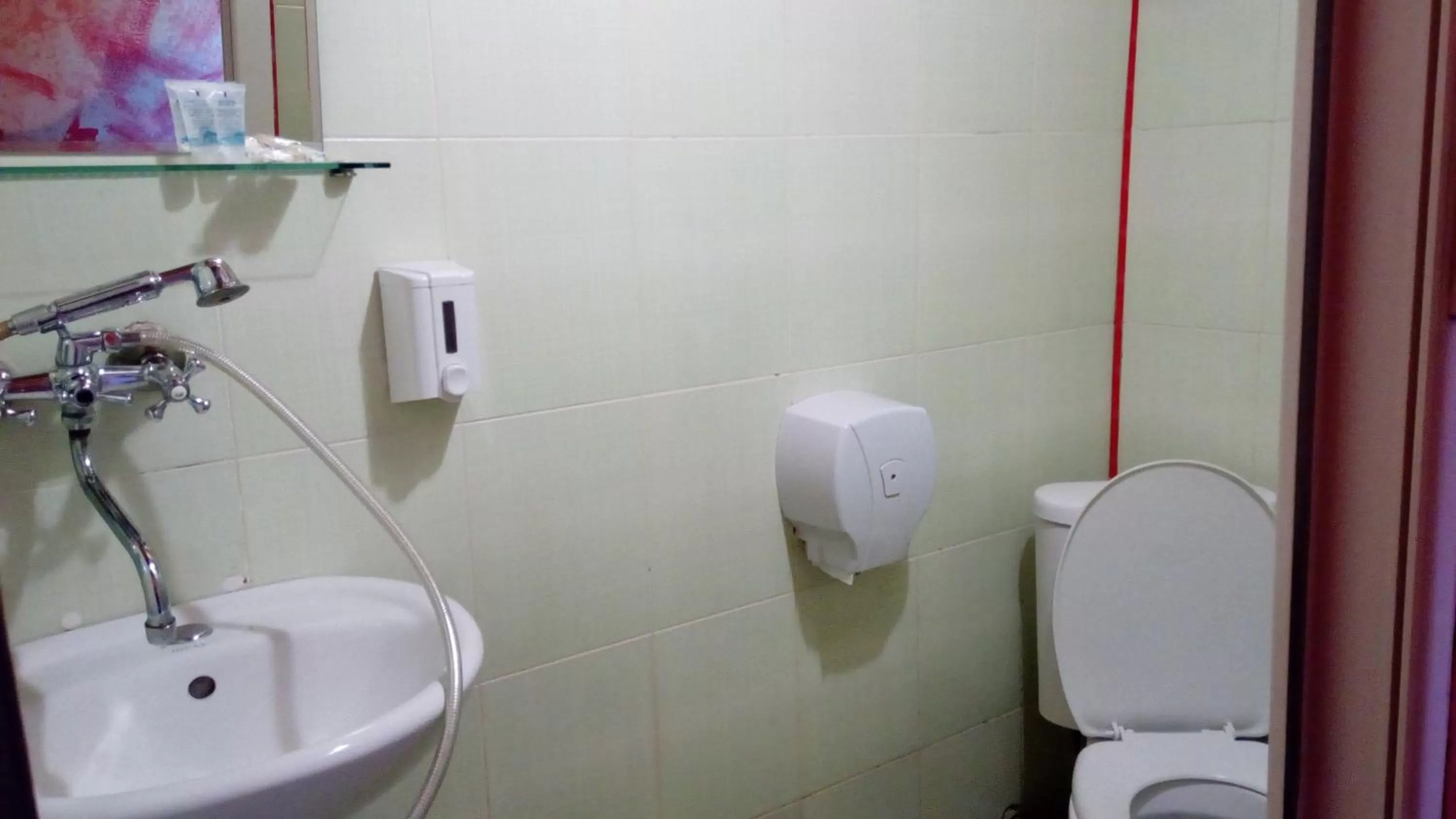 Shower in Hotel Isani