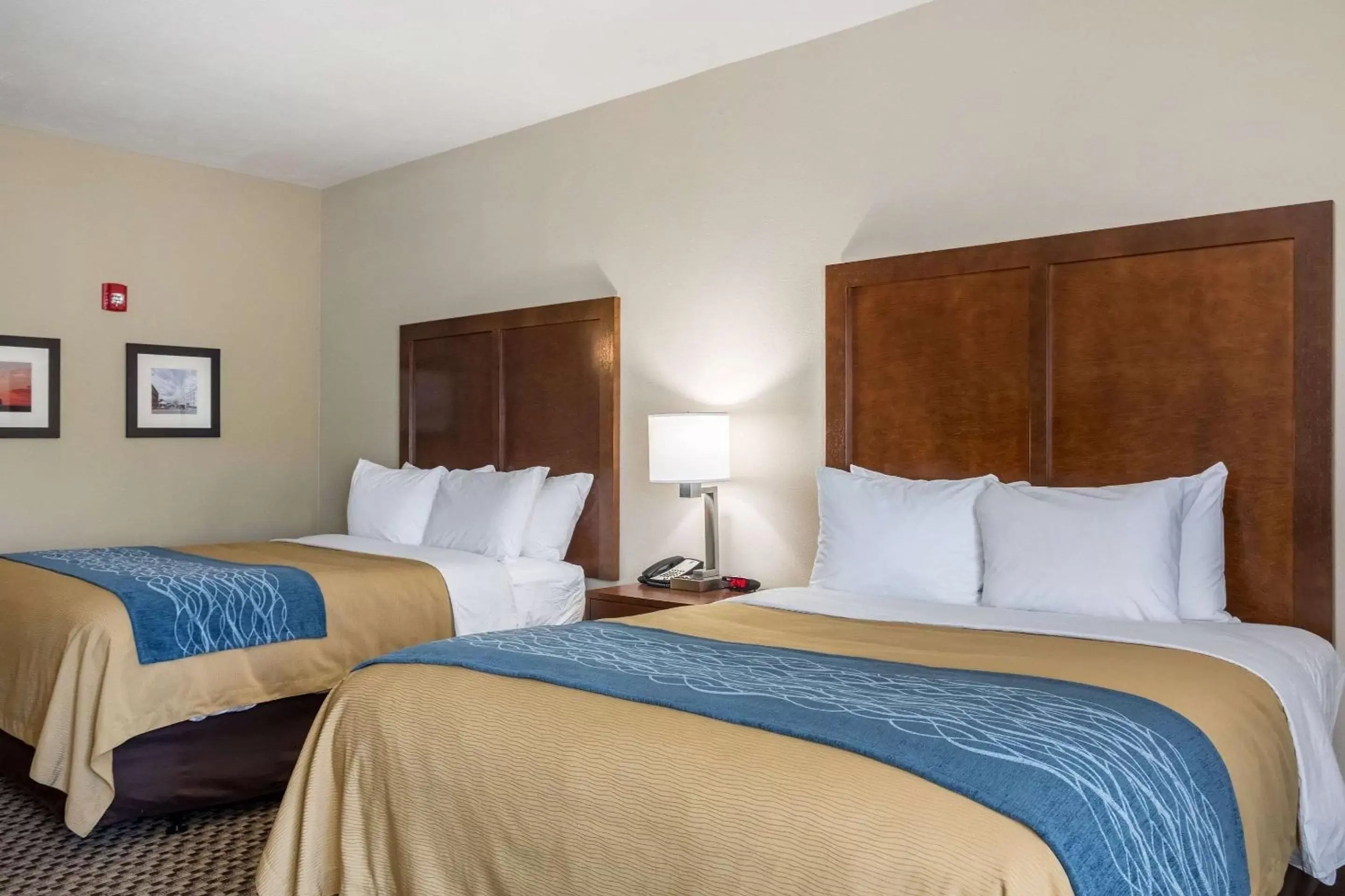 Queen Room with Two Queen Beds - Accessible/Non-Smoking in Comfort Inn Edwardsville - St Louis Queen Room with Two Queen Beds - Accessible/Non-Smoking in Comfort Inn Edwardsville - St Louis