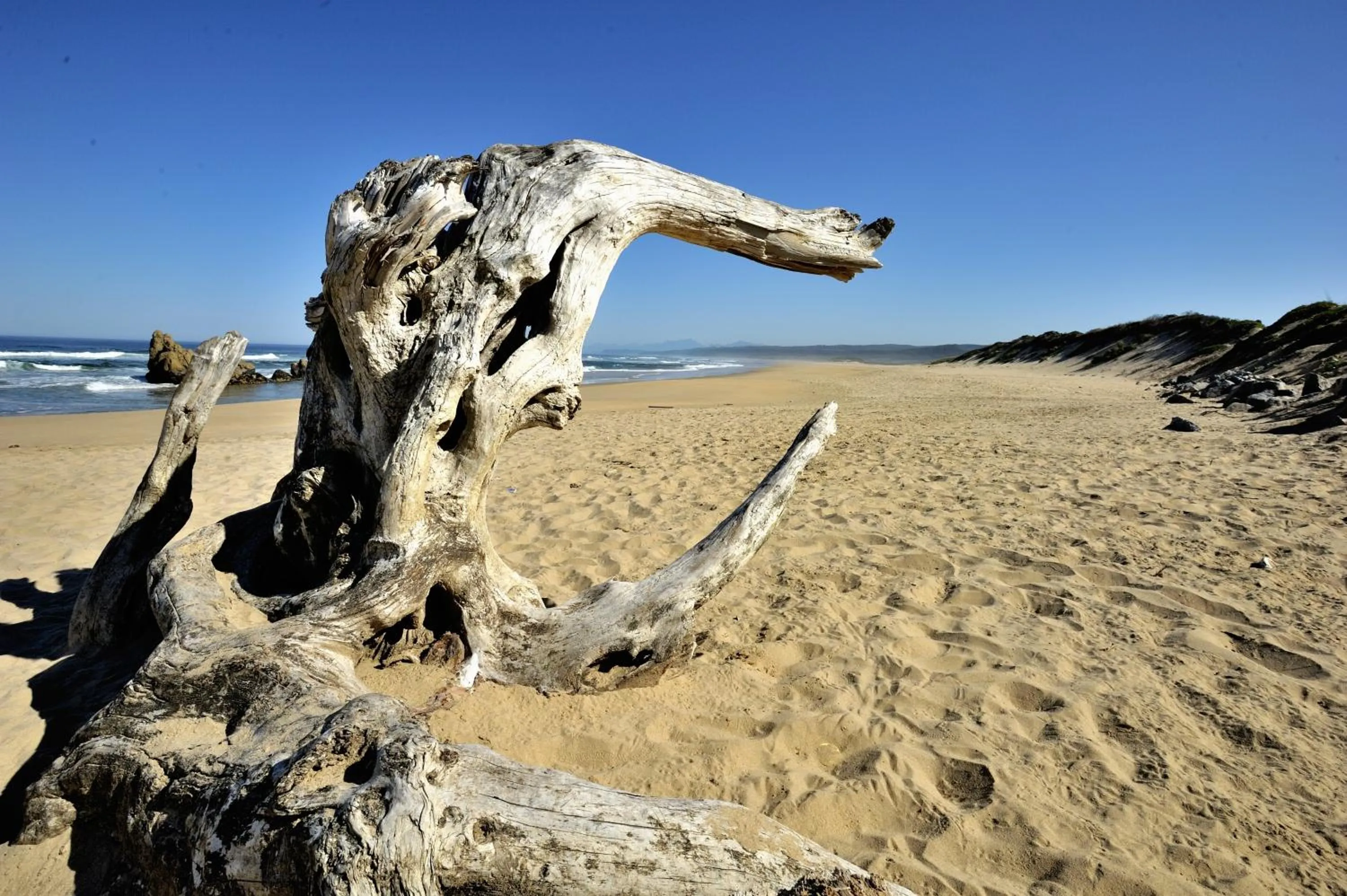 Natural landscape in Brenton Beach House