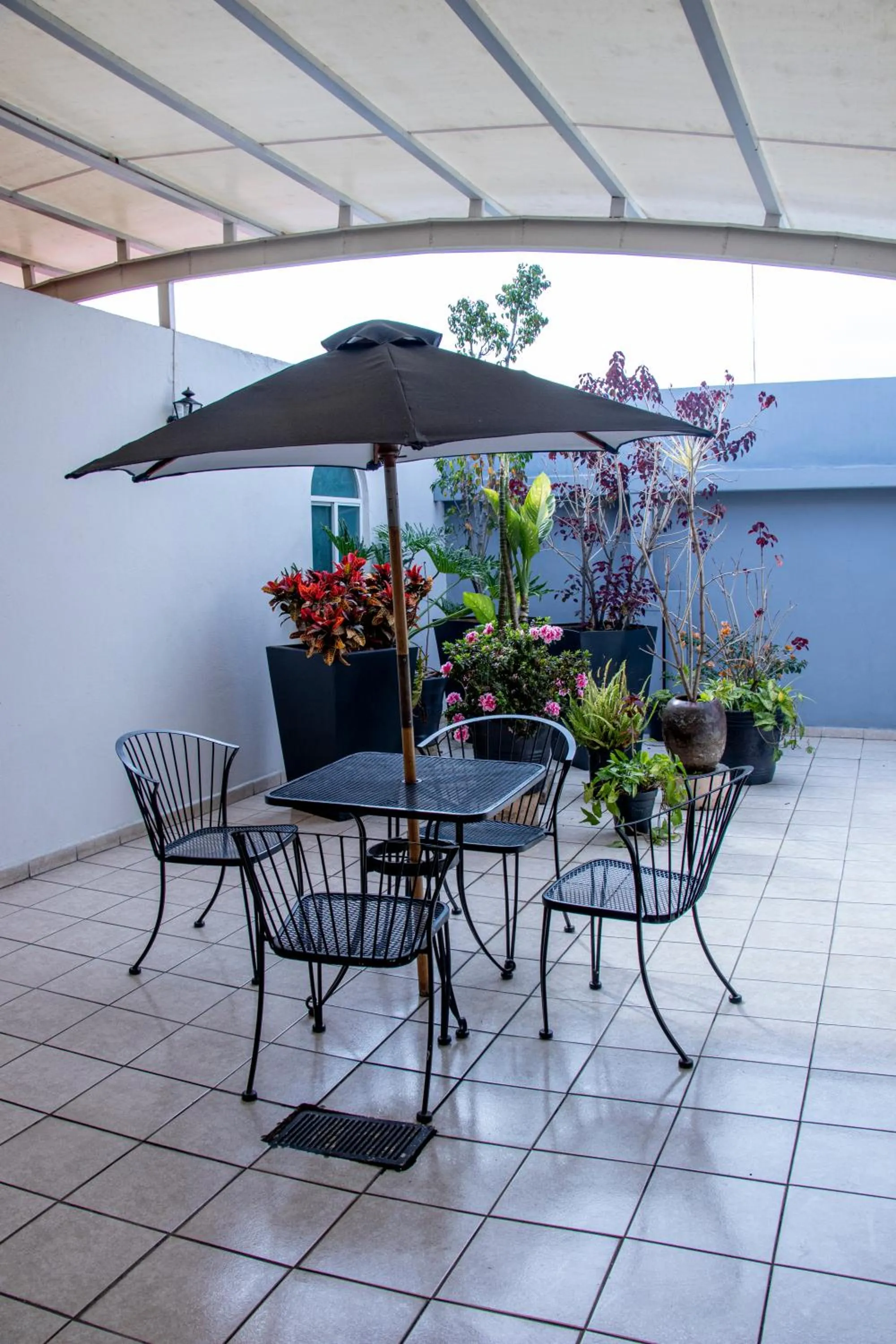 Area and facilities in Hotel Qualitel Plus