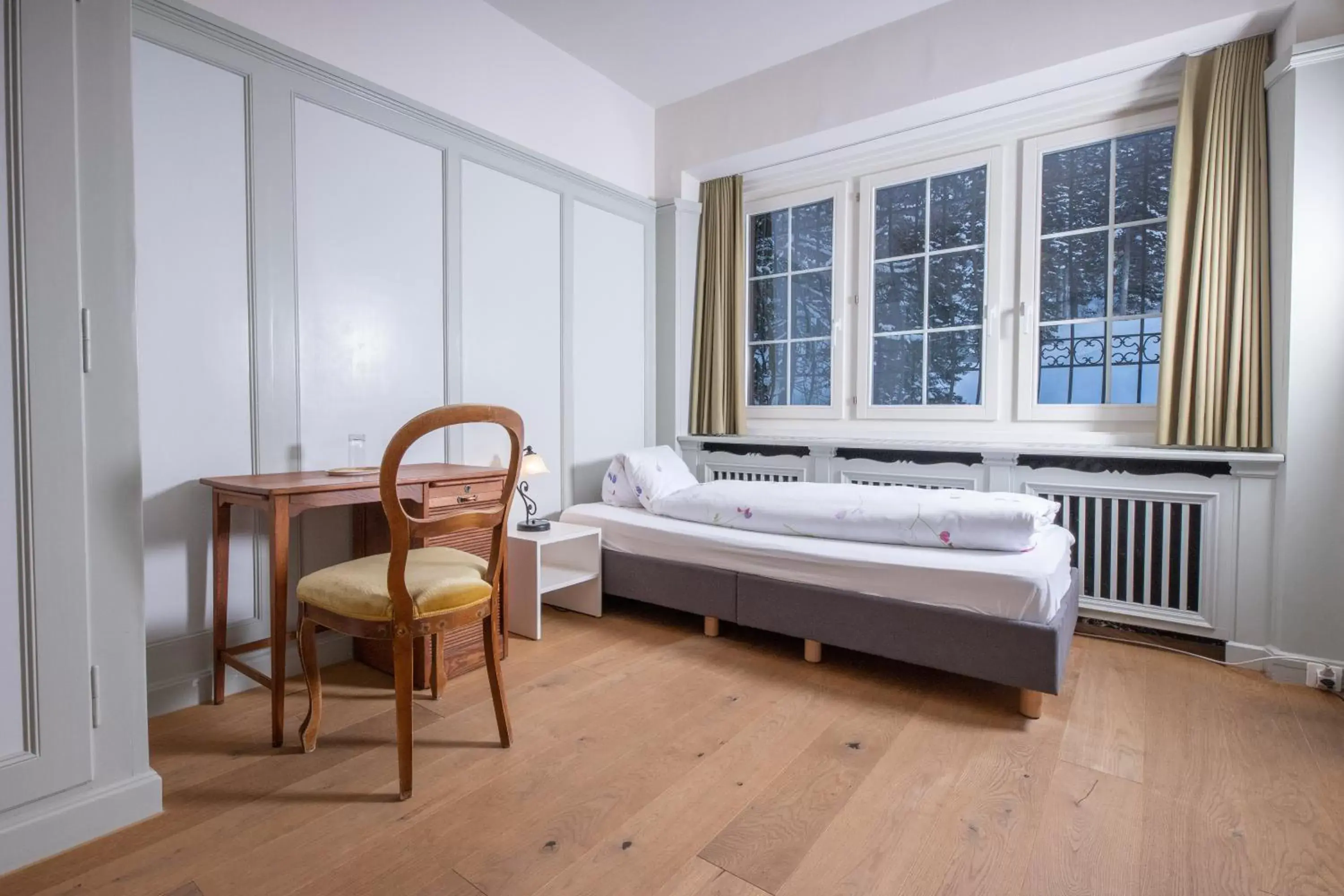 Standard Single Room in Hotel Chesa Spuondas Standard Single Room in Hotel Chesa Spuondas