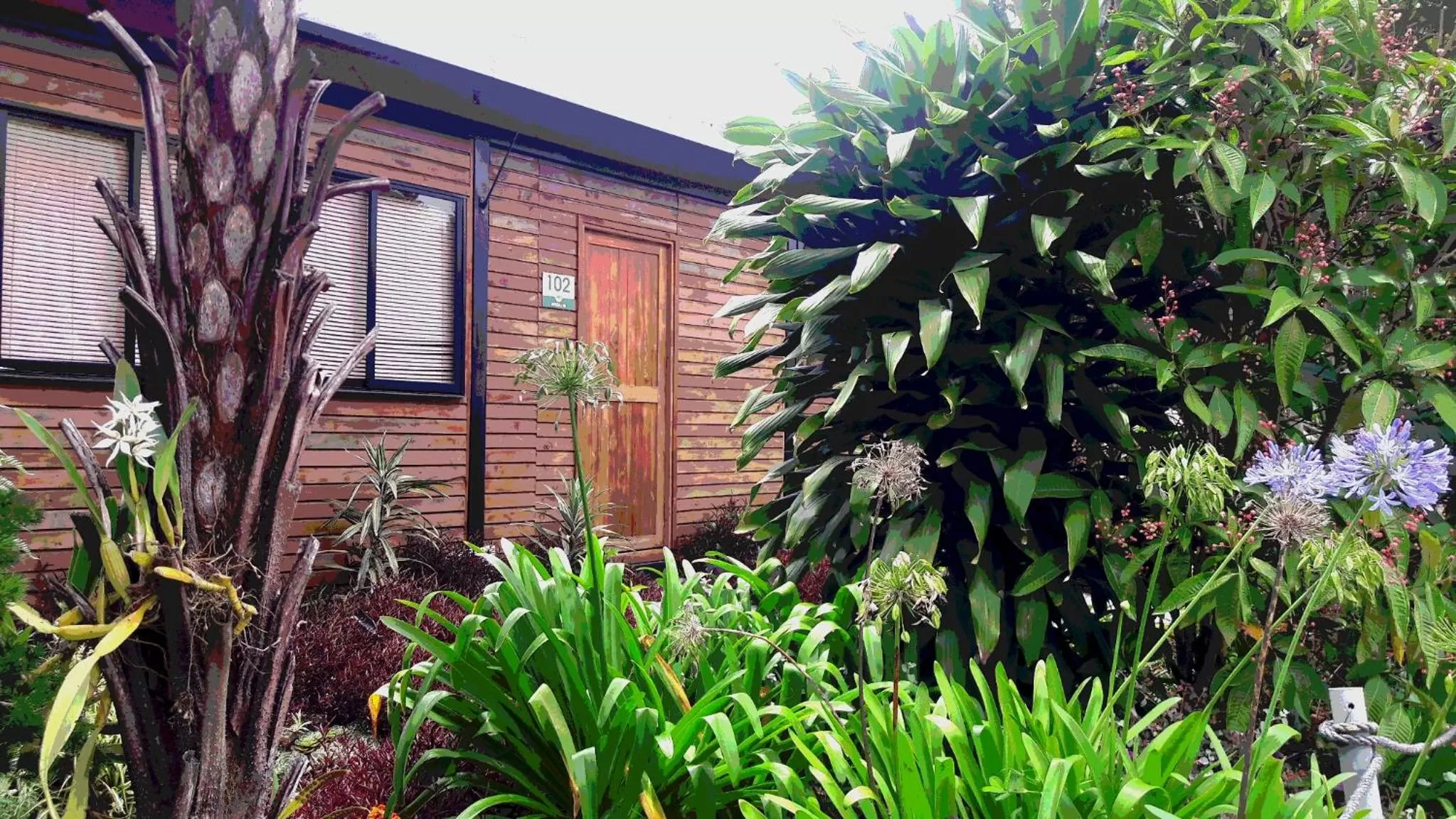 Garden, Property Building in ALTO LODGING Centro de Entrenamiento Deportivo y Negocios, a 2 pasos del Aeropuerto JMC, Transporte Incluido