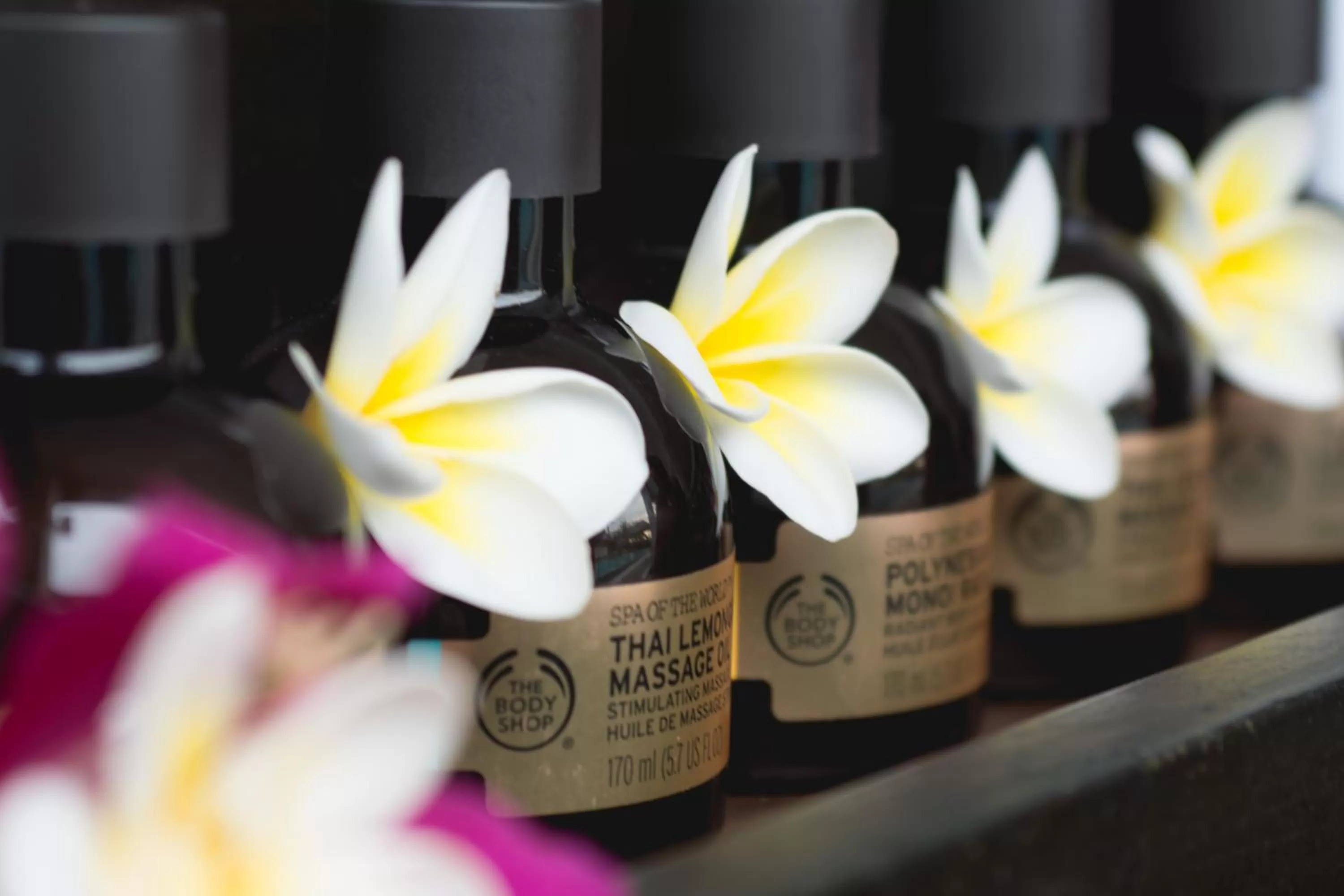 Alia Residence Business Resort