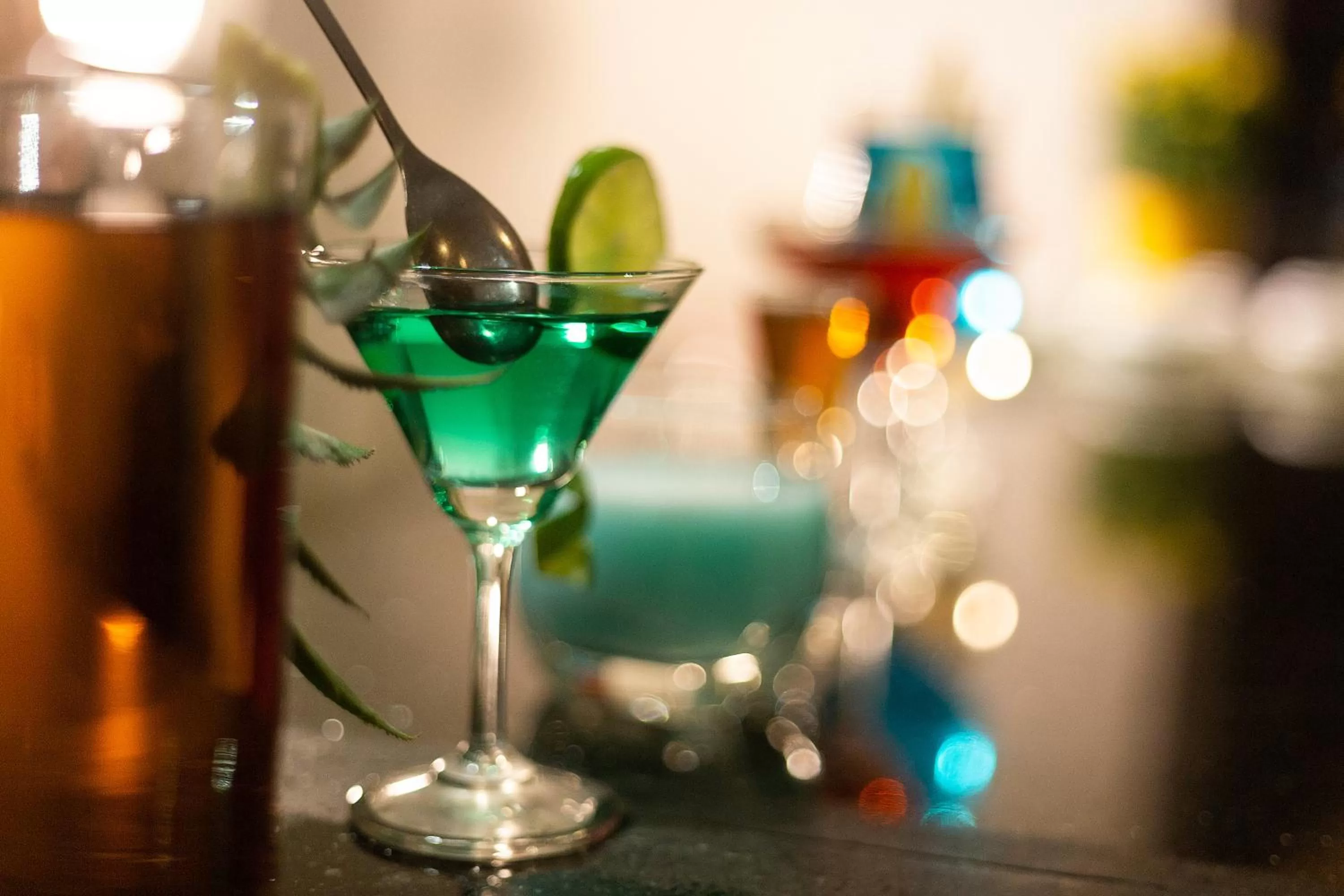 Night in Regalia Nha Trang