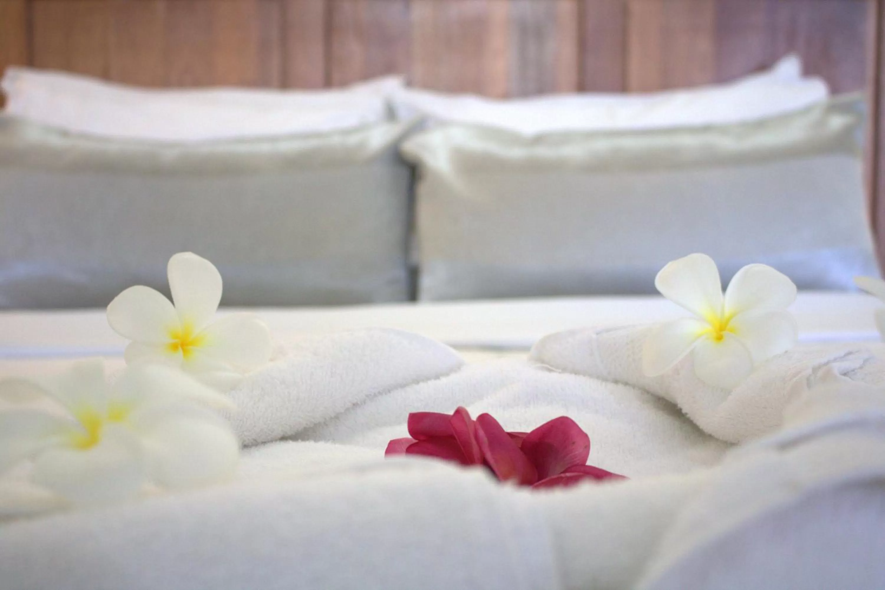 Decorative detail, Bed in Rapopo Plantation Resort