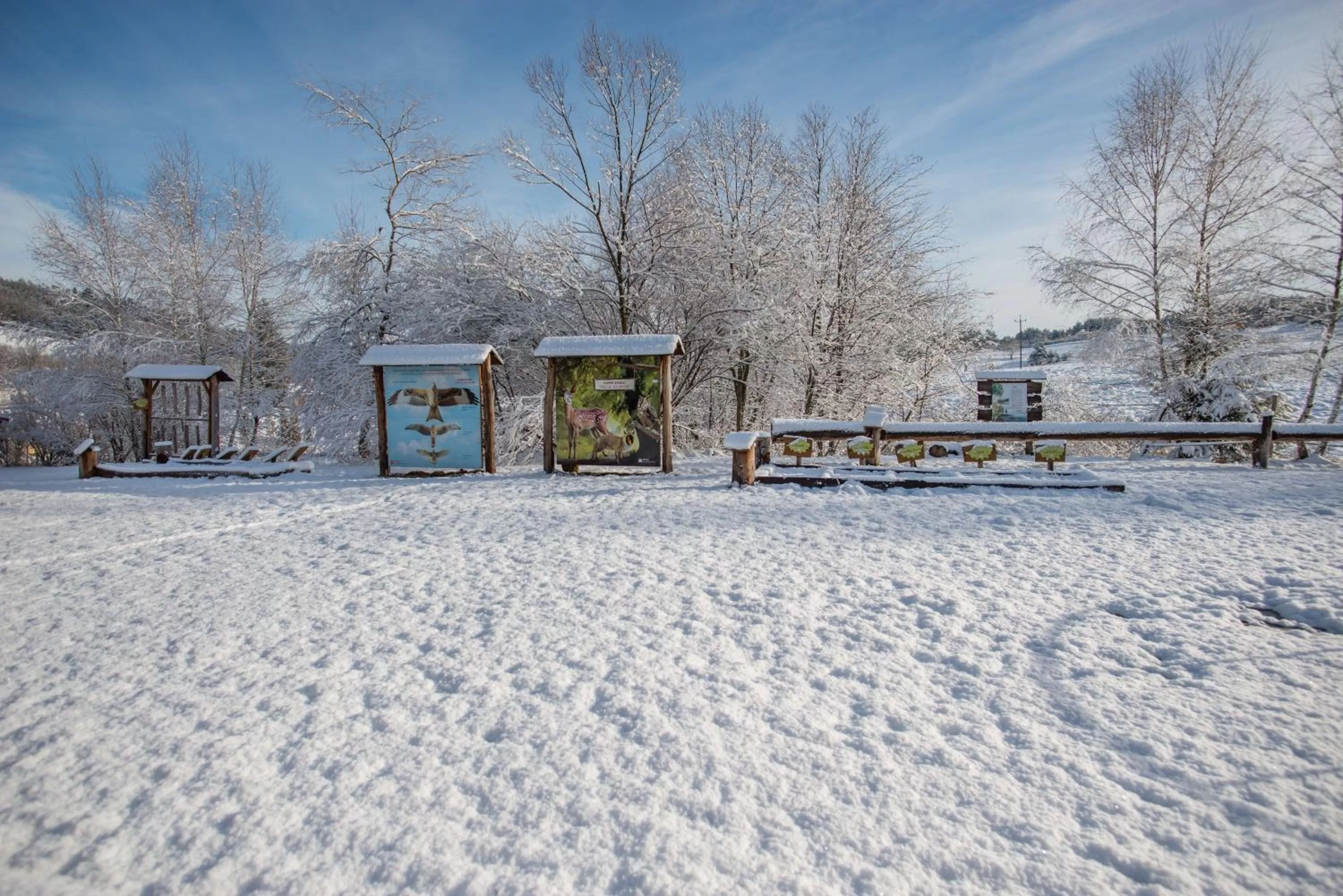 Winter in Gościniec Pięciu Stawów