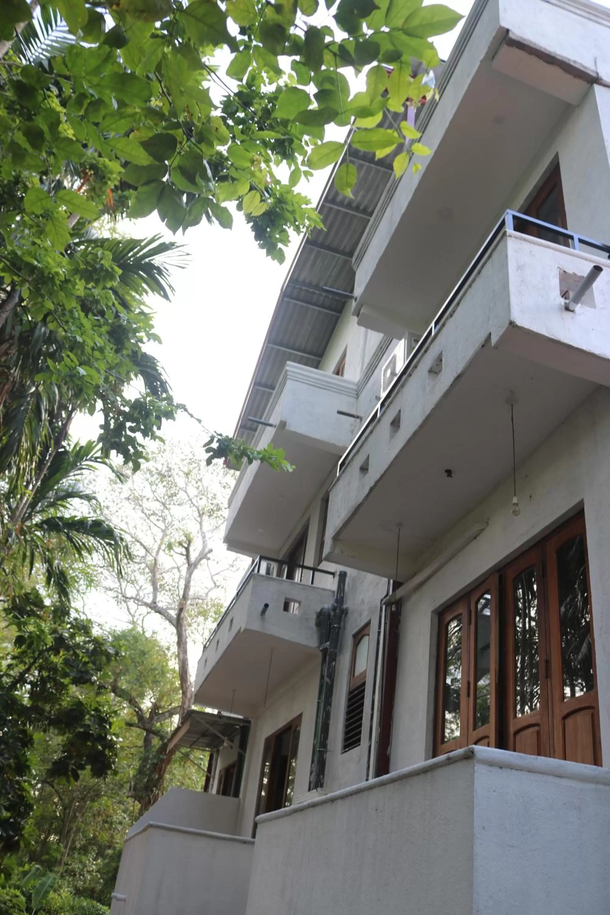 Garden view in Divine Villa