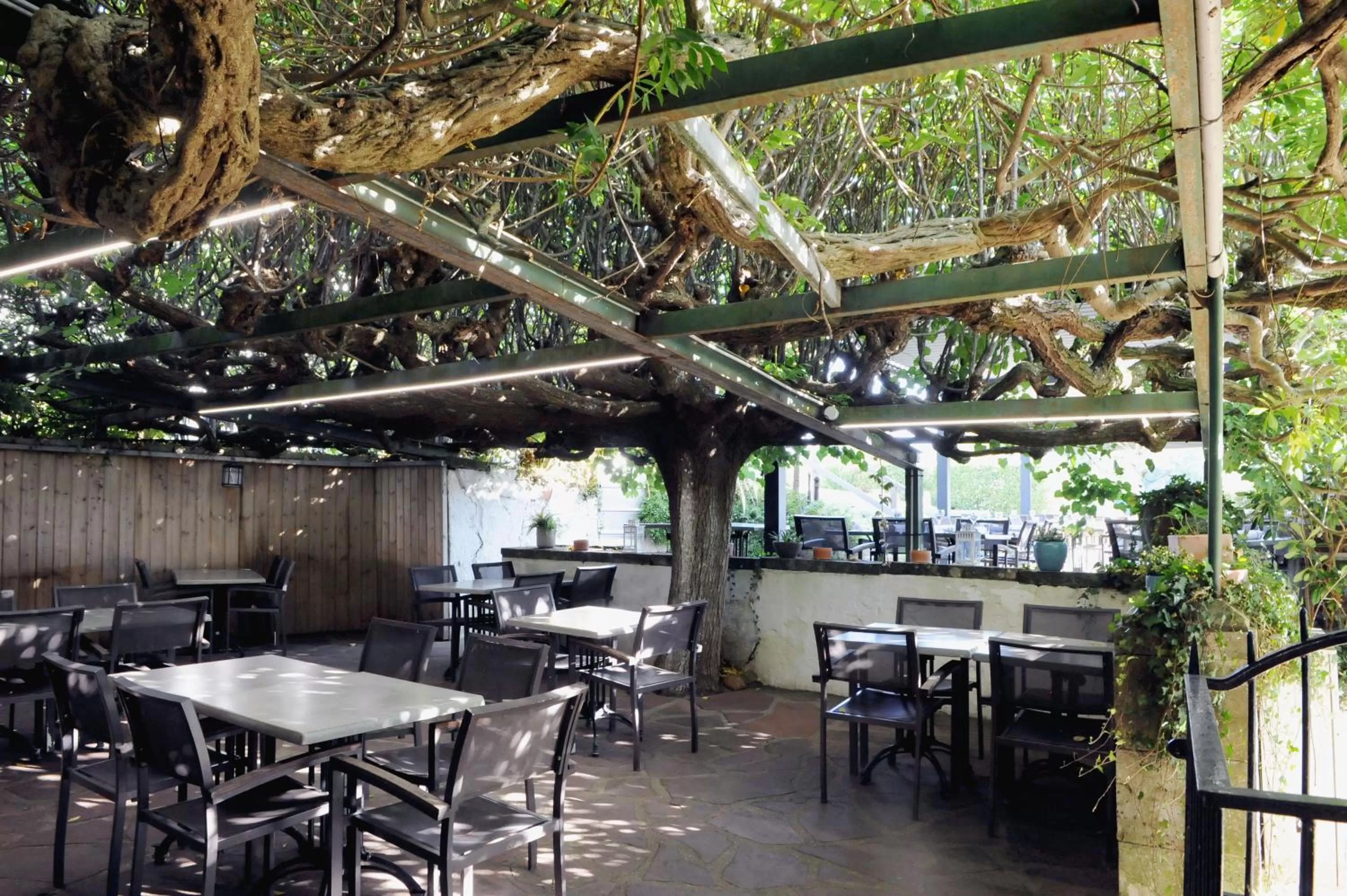 Patio in Logis Hôtel du Chêne