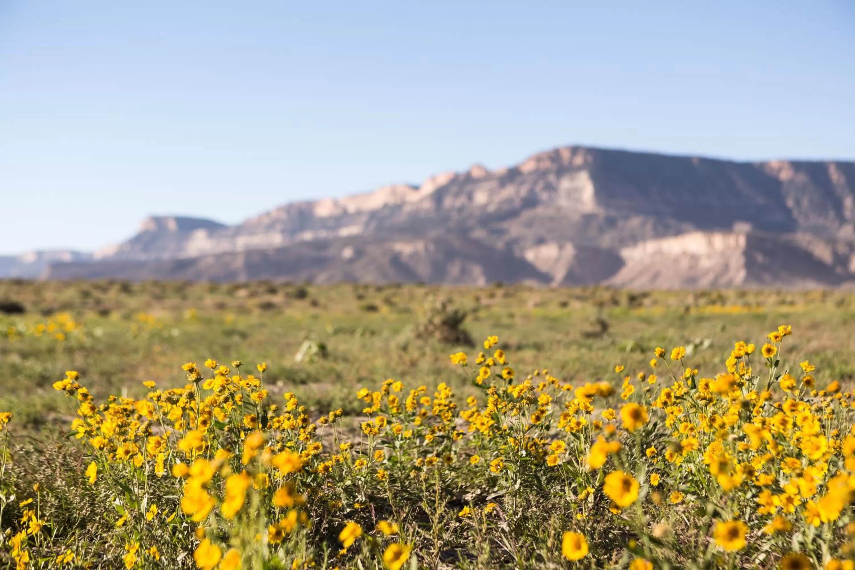 Area and facilities in Kayenta Monument Valley Inn