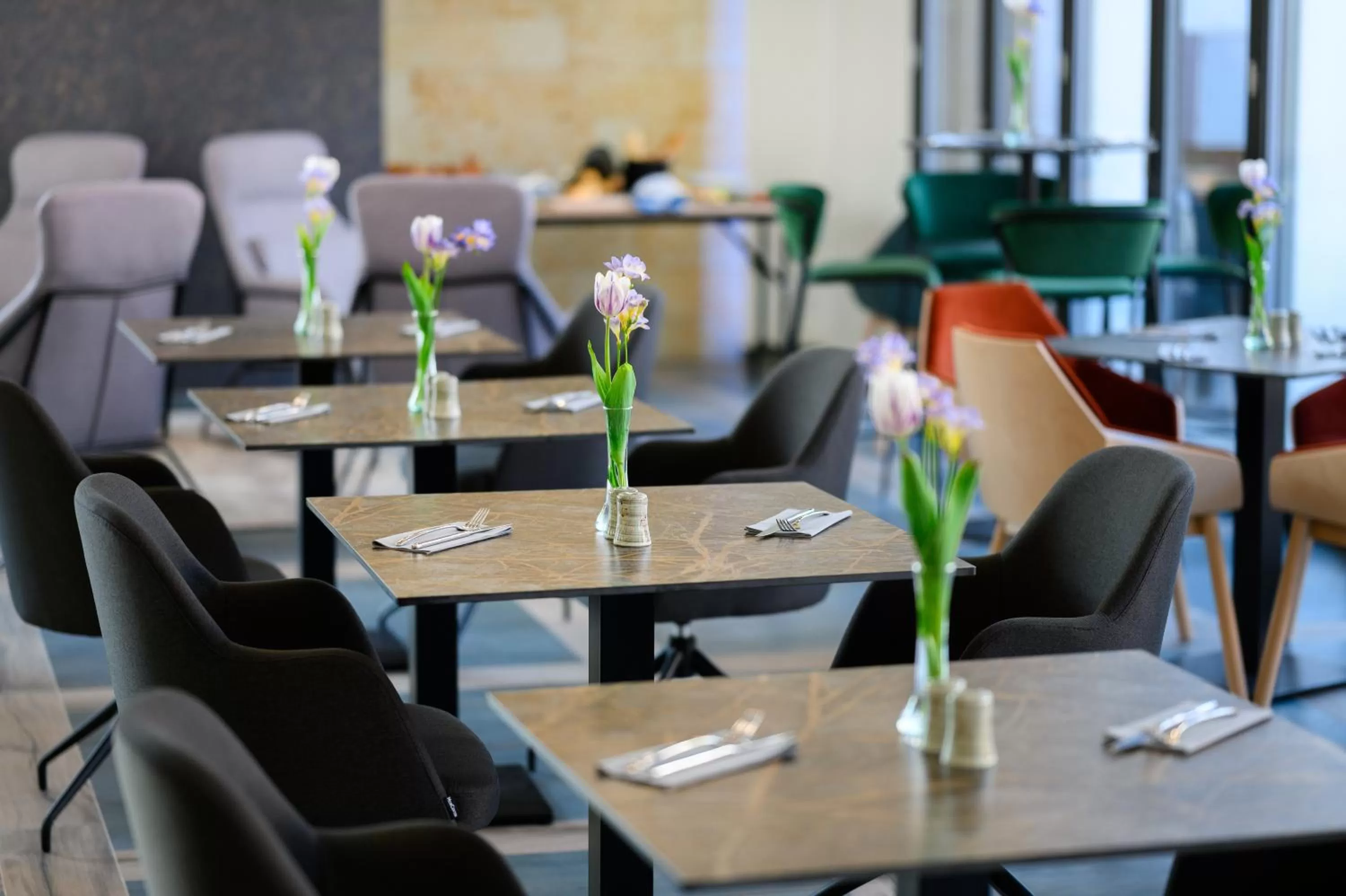 Restaurant/places to eat in Mercure Tokaj Center