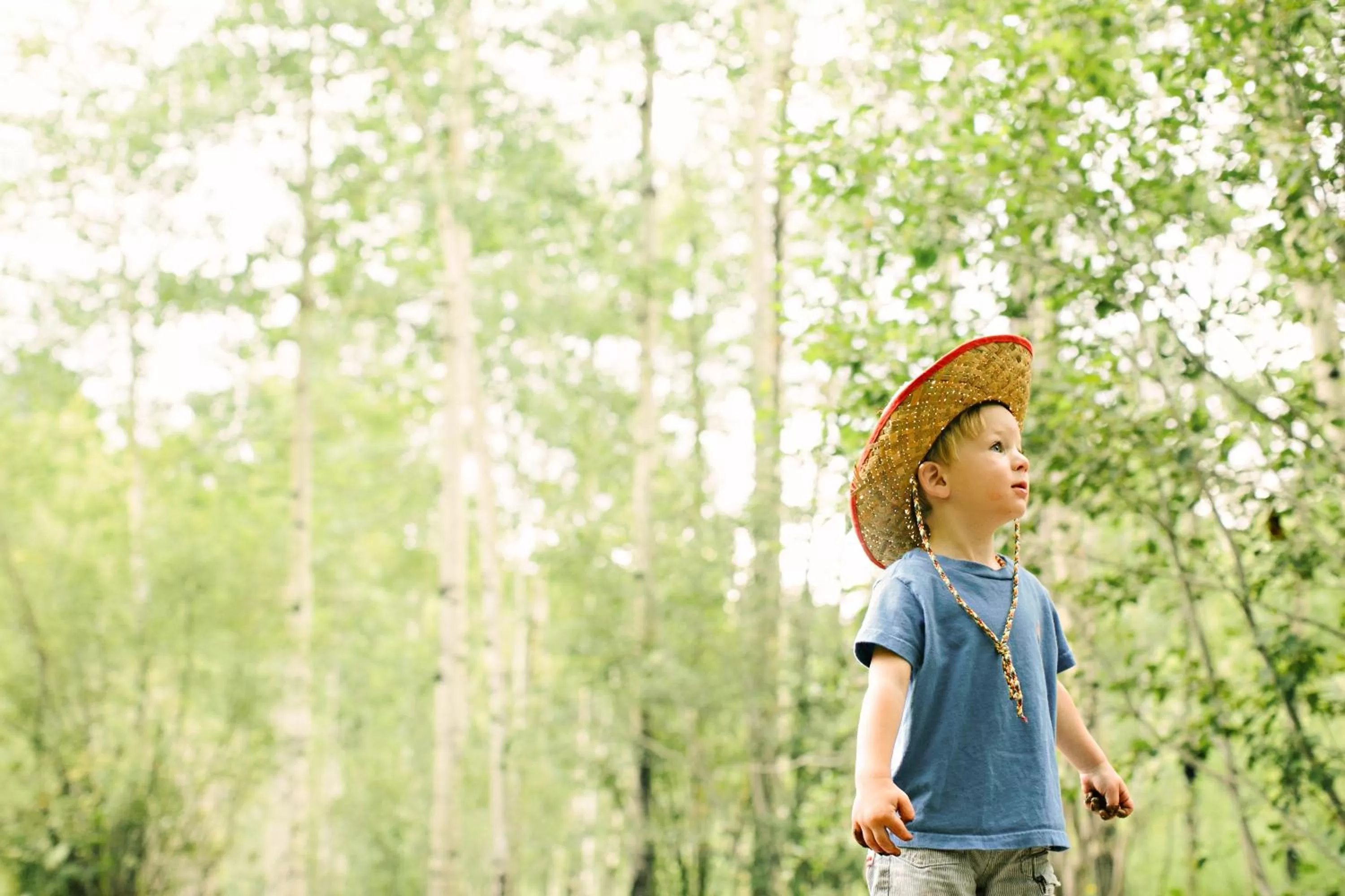 Quality Inn Price Gateway to Moab National Parks