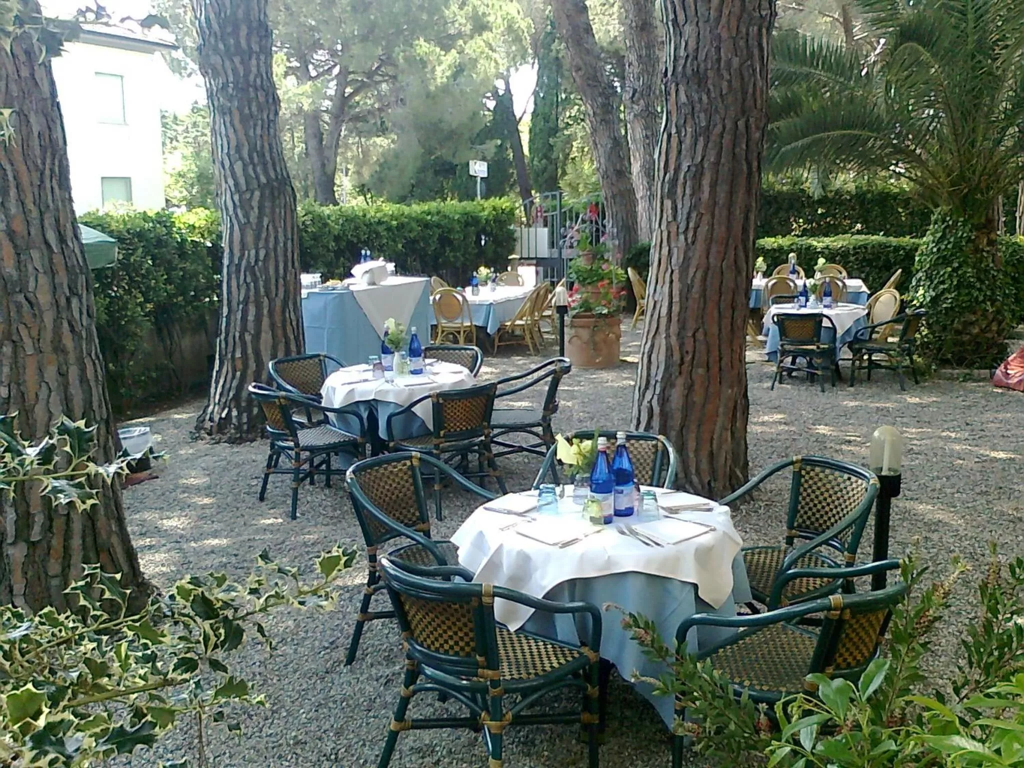 Garden in Hotel Massimo