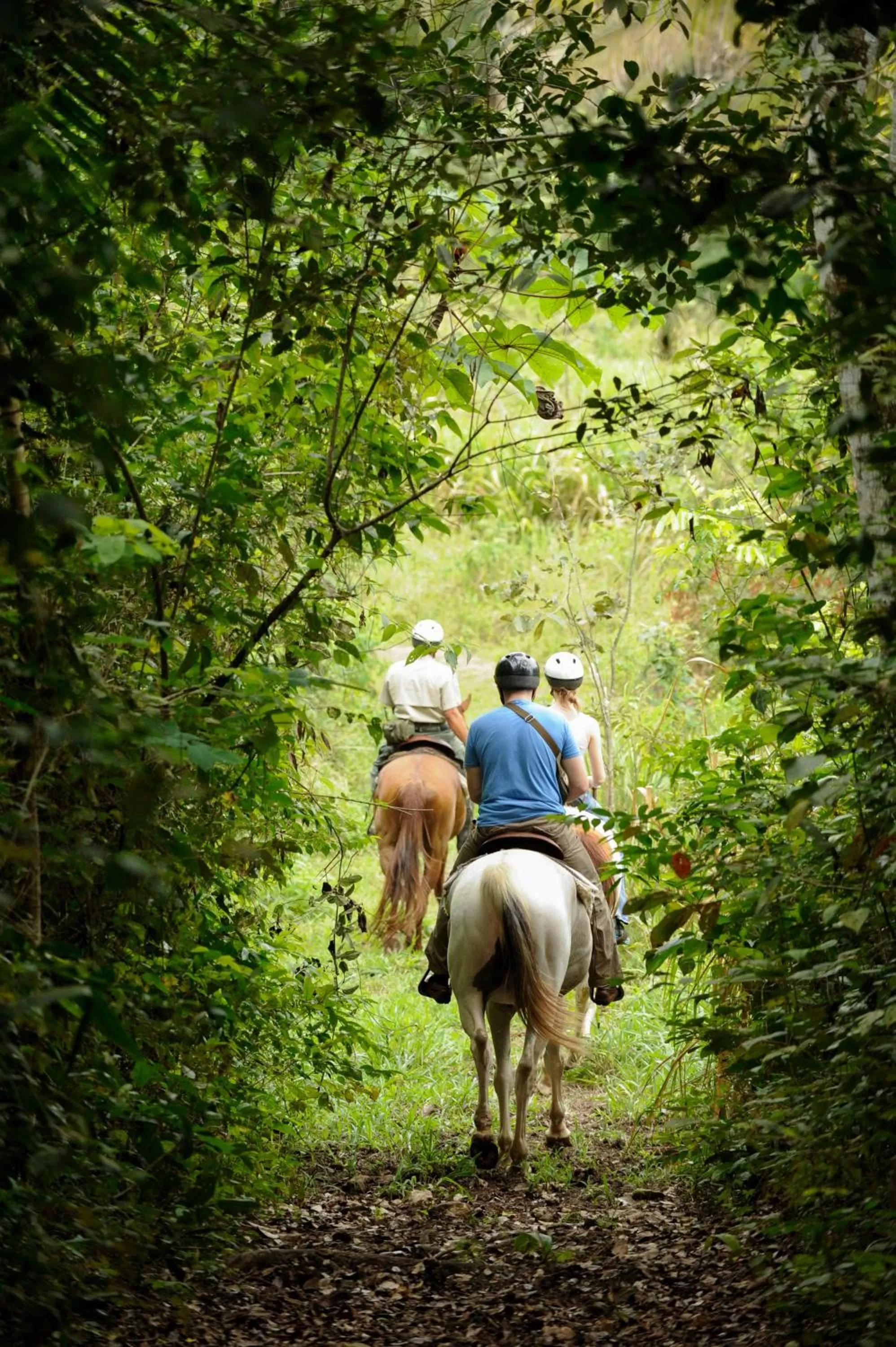 Horse-riding in The Lodge at ChaaCreek