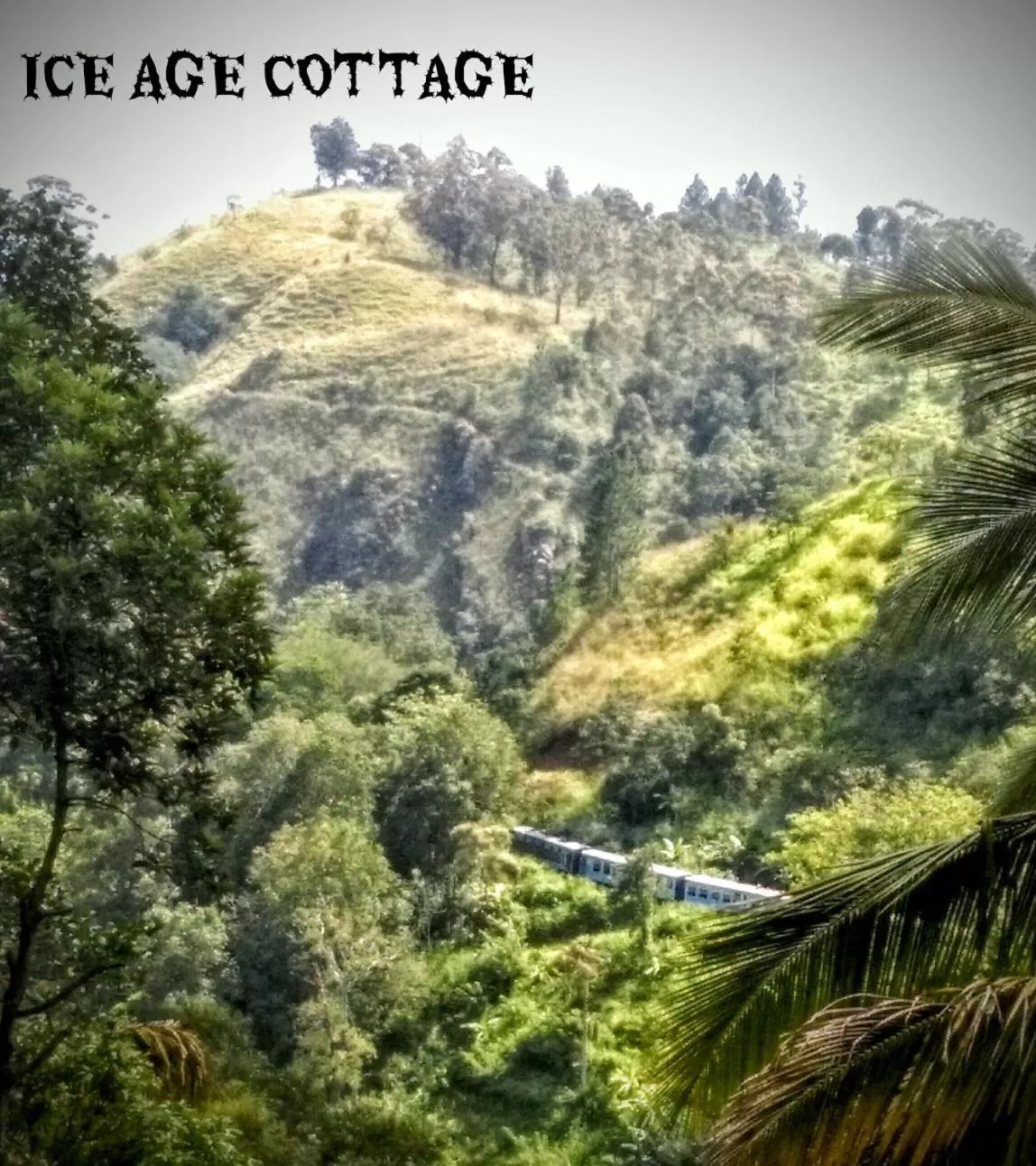 Mountain view in Ice Age Cottage